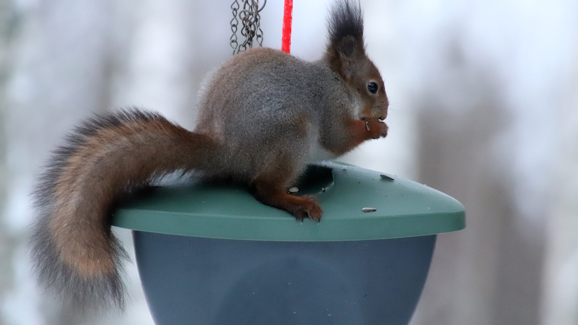 Valokuvaaja: sirpa Jyske