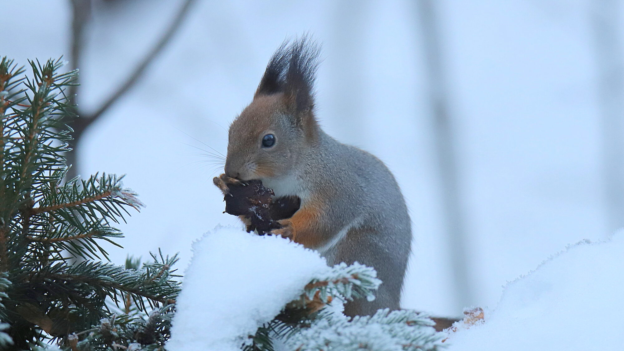 Valokuvaaja: sirpa Jyske