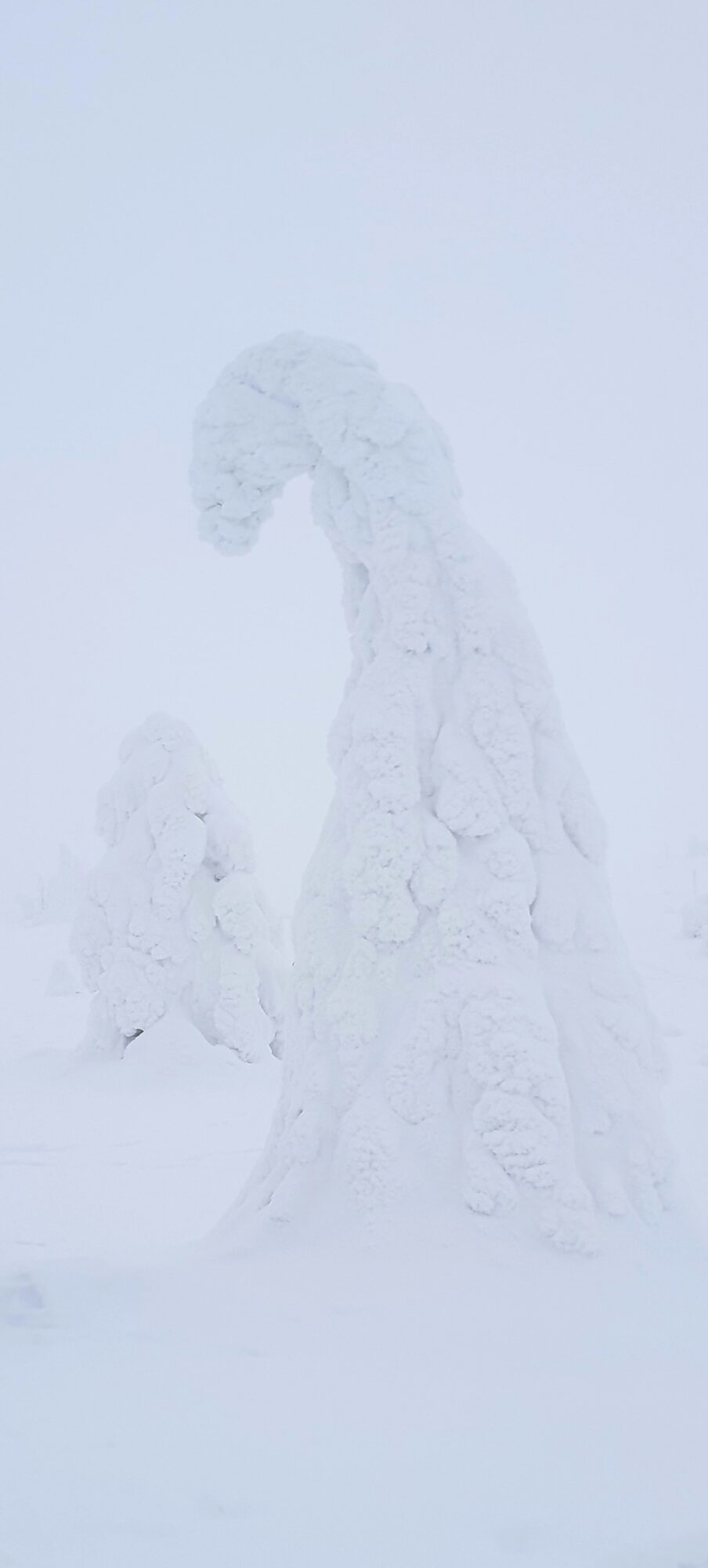 Valokuvaaja: Anu Lapinlampi Valokuvaaja: Anu Lapinlampi