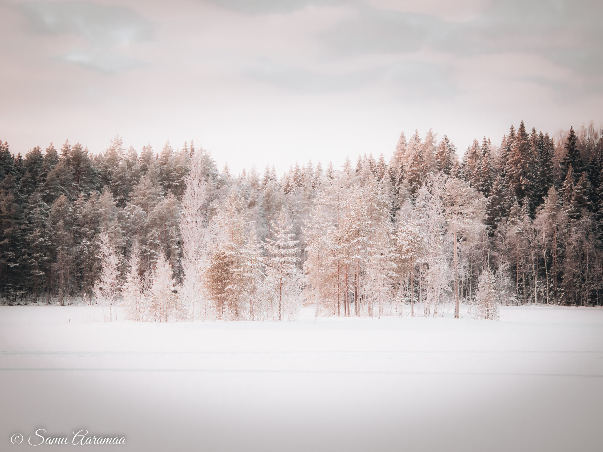 Valokuvaaja: Samu Aaramaa