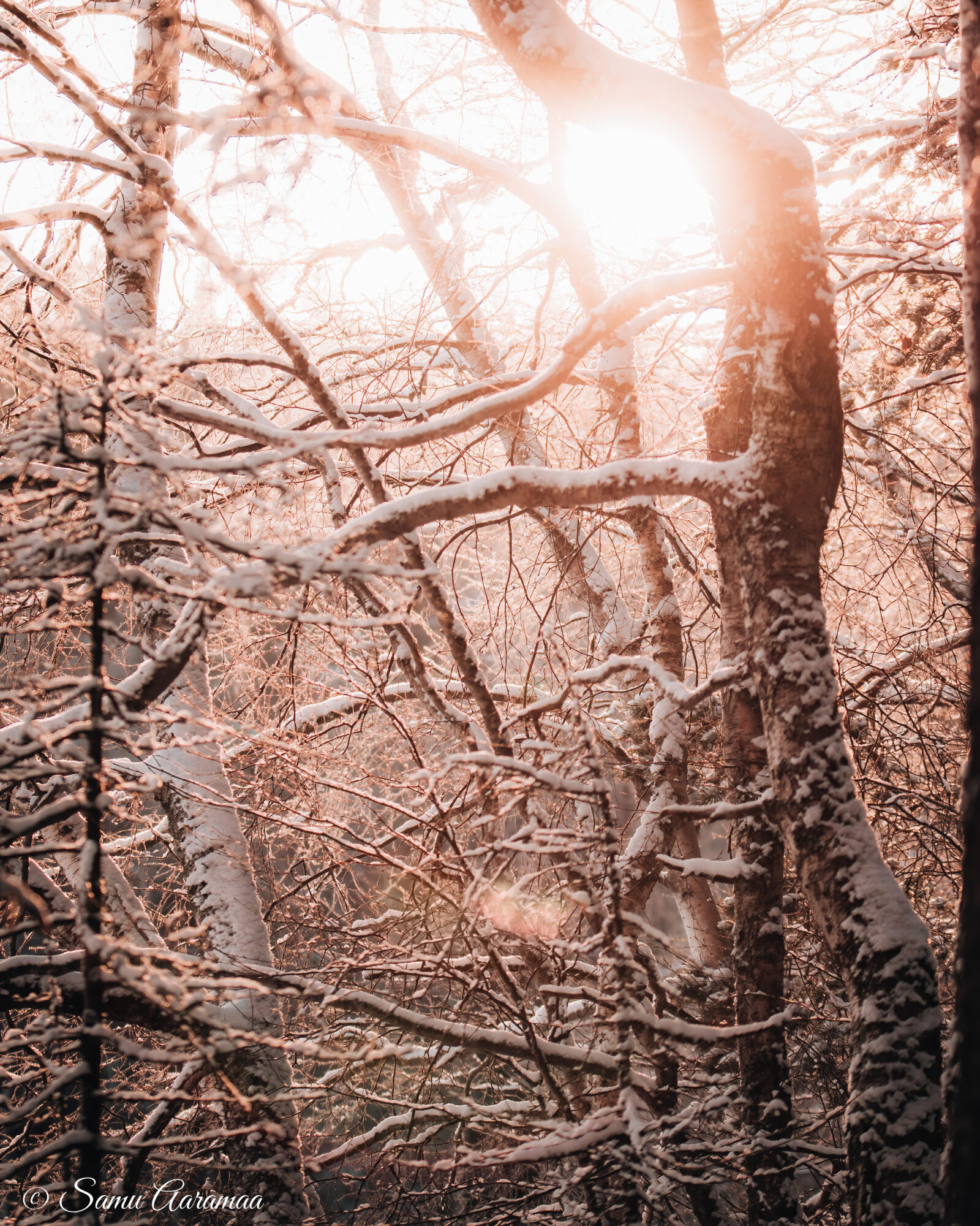 Valokuvaaja: Samu Aaramaa