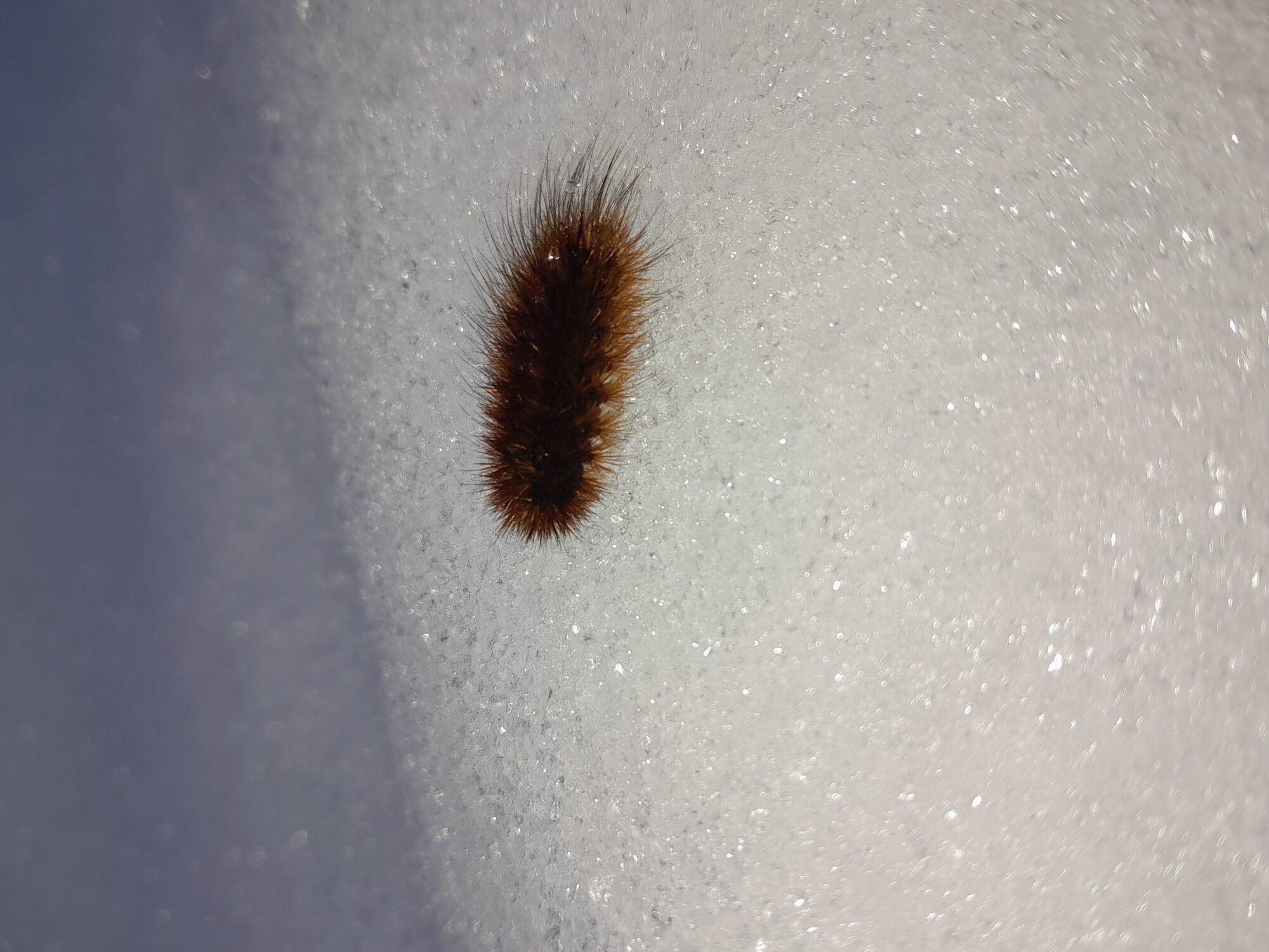 Valokuvaaja: Essi Anttila