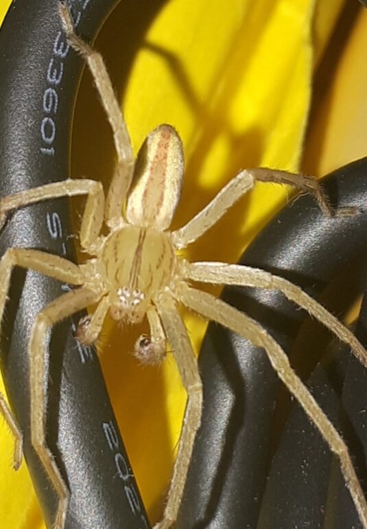 Valokuvaaja: Marianne Sunell