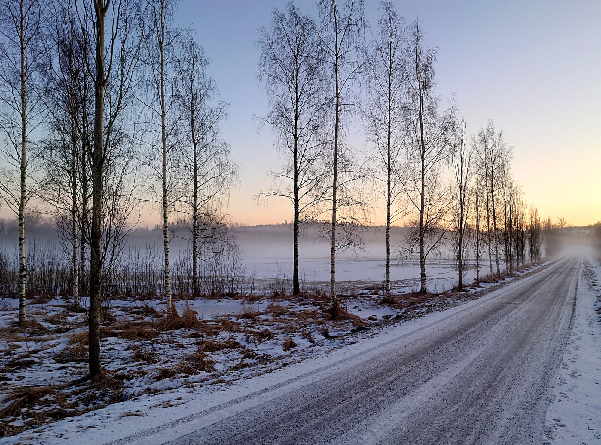 Valokuvaaja: Kati Westerlund