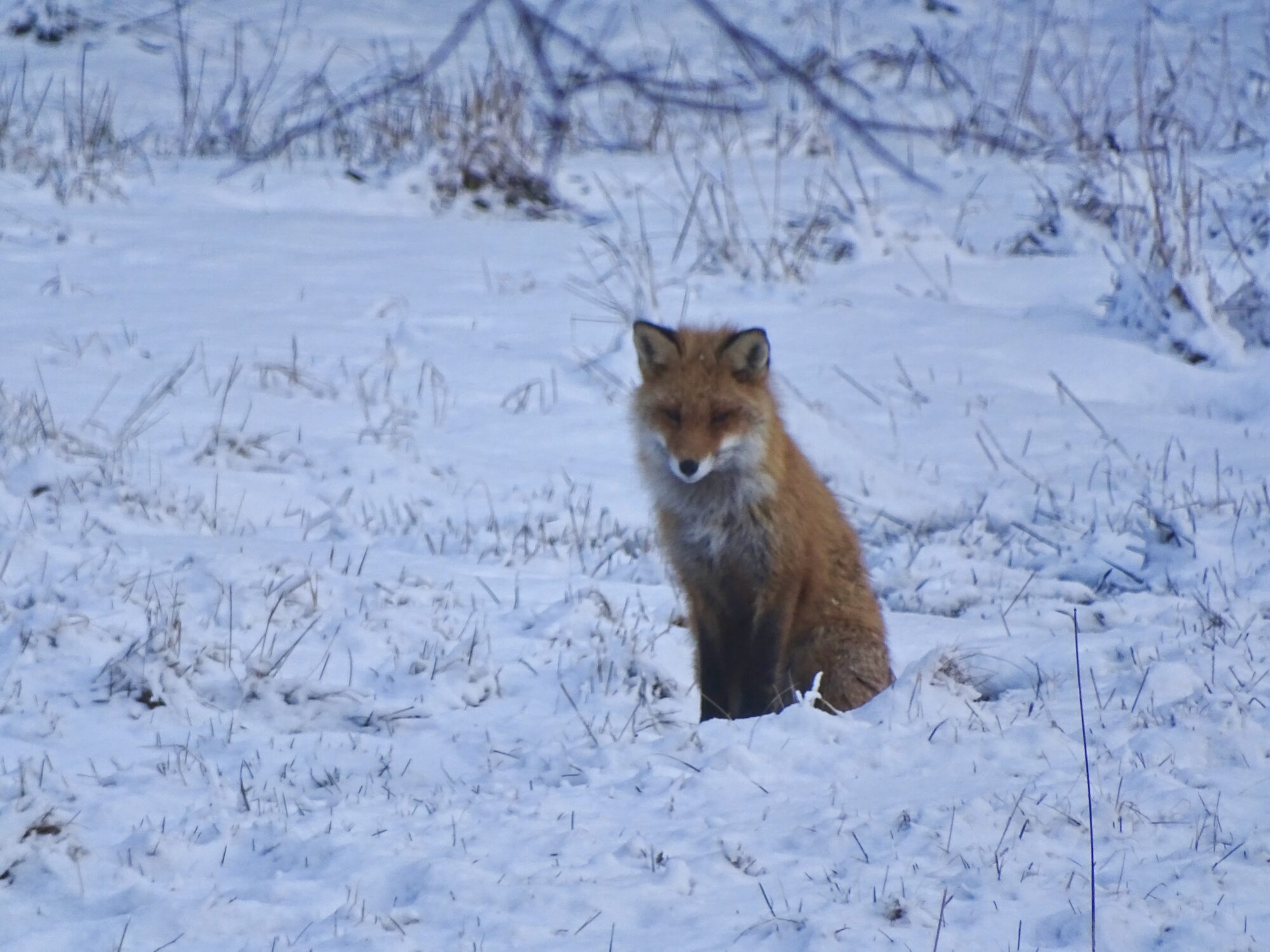 Valokuvaaja: Juhani Peltonen Valokuvaaja: Juhani Peltonen