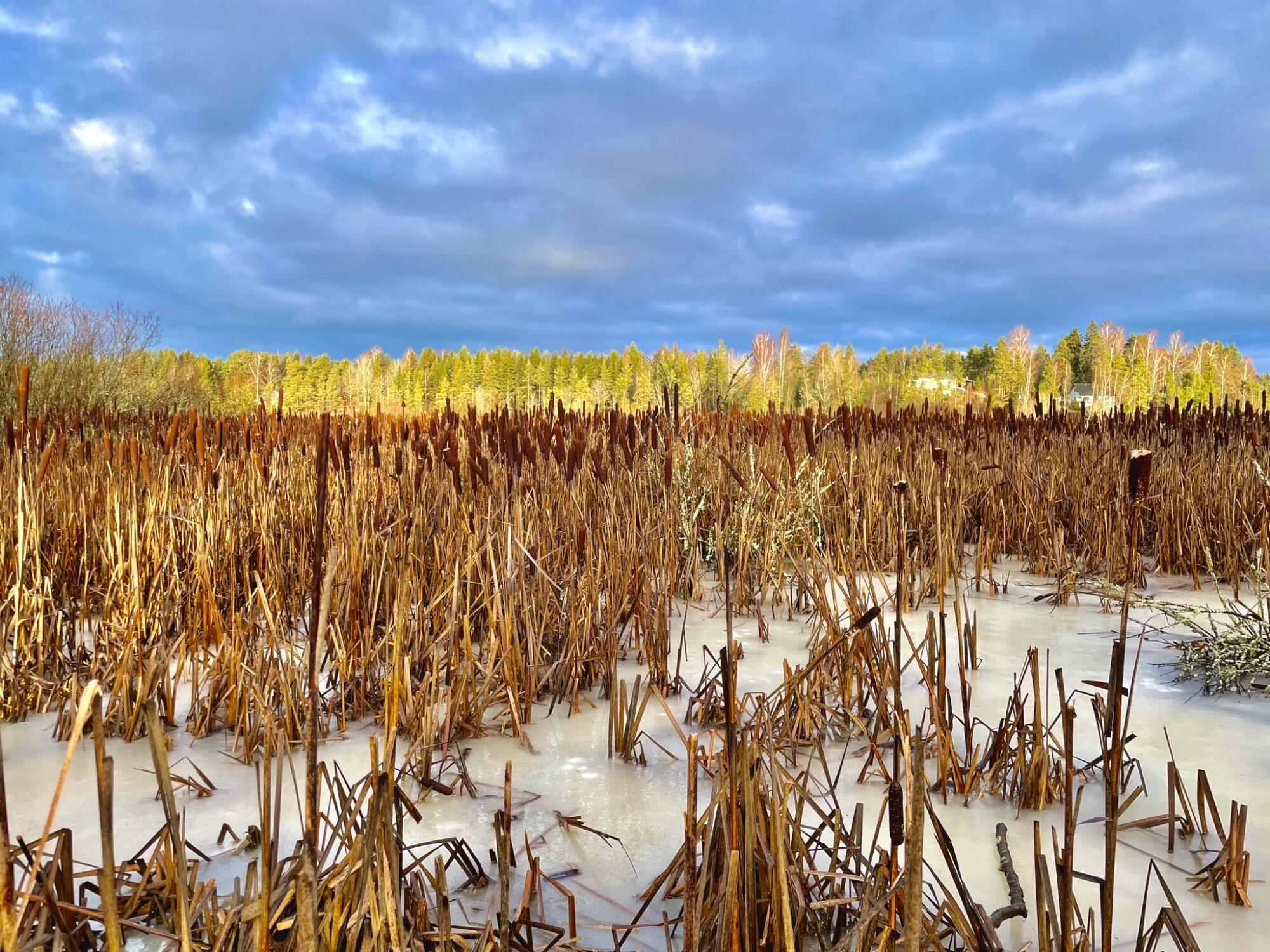 Valokuvaaja: Juhani Peltonen Valokuvaaja: Juhani Peltonen
