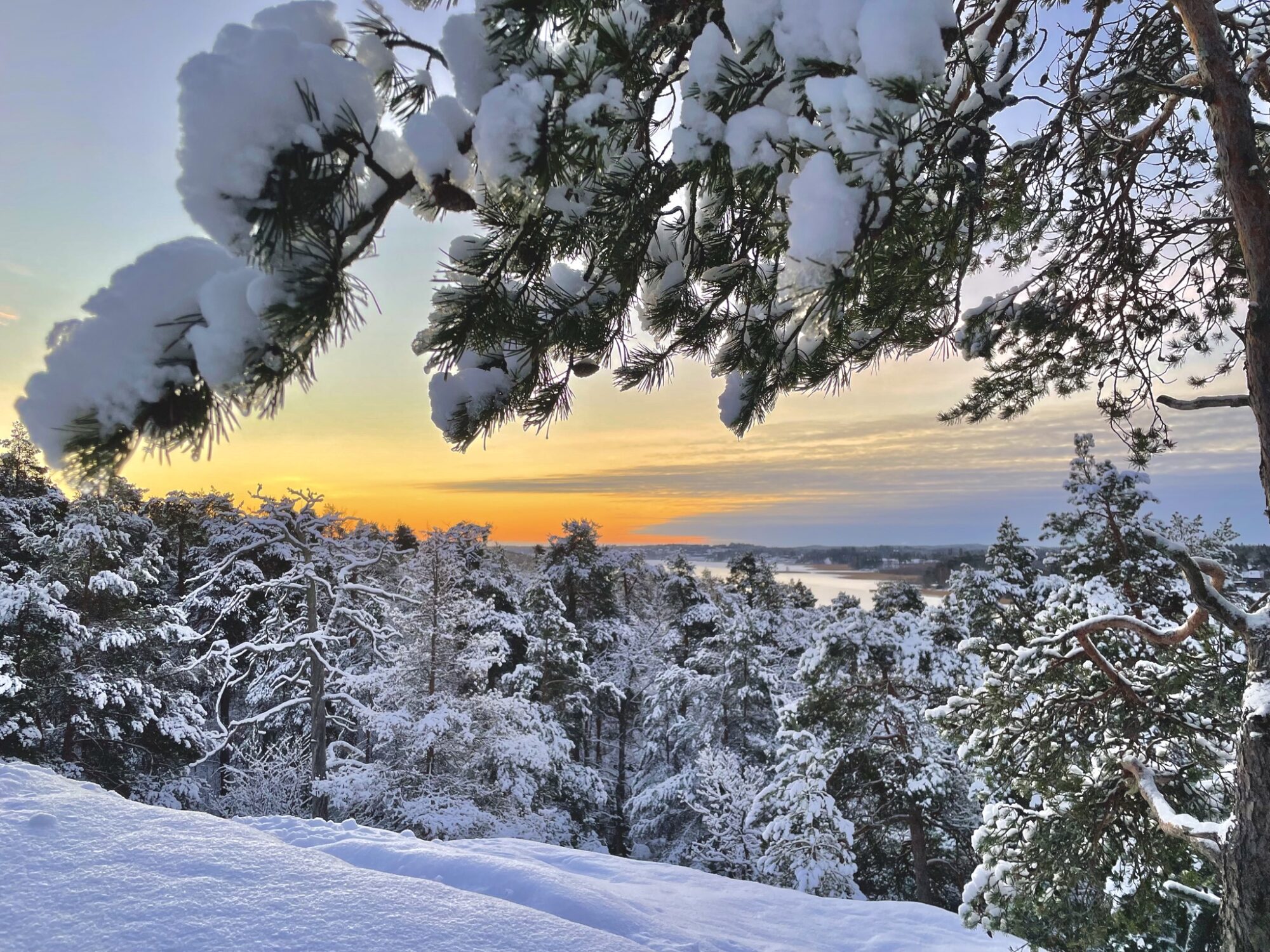 Valokuvaaja: Juhani Peltonen