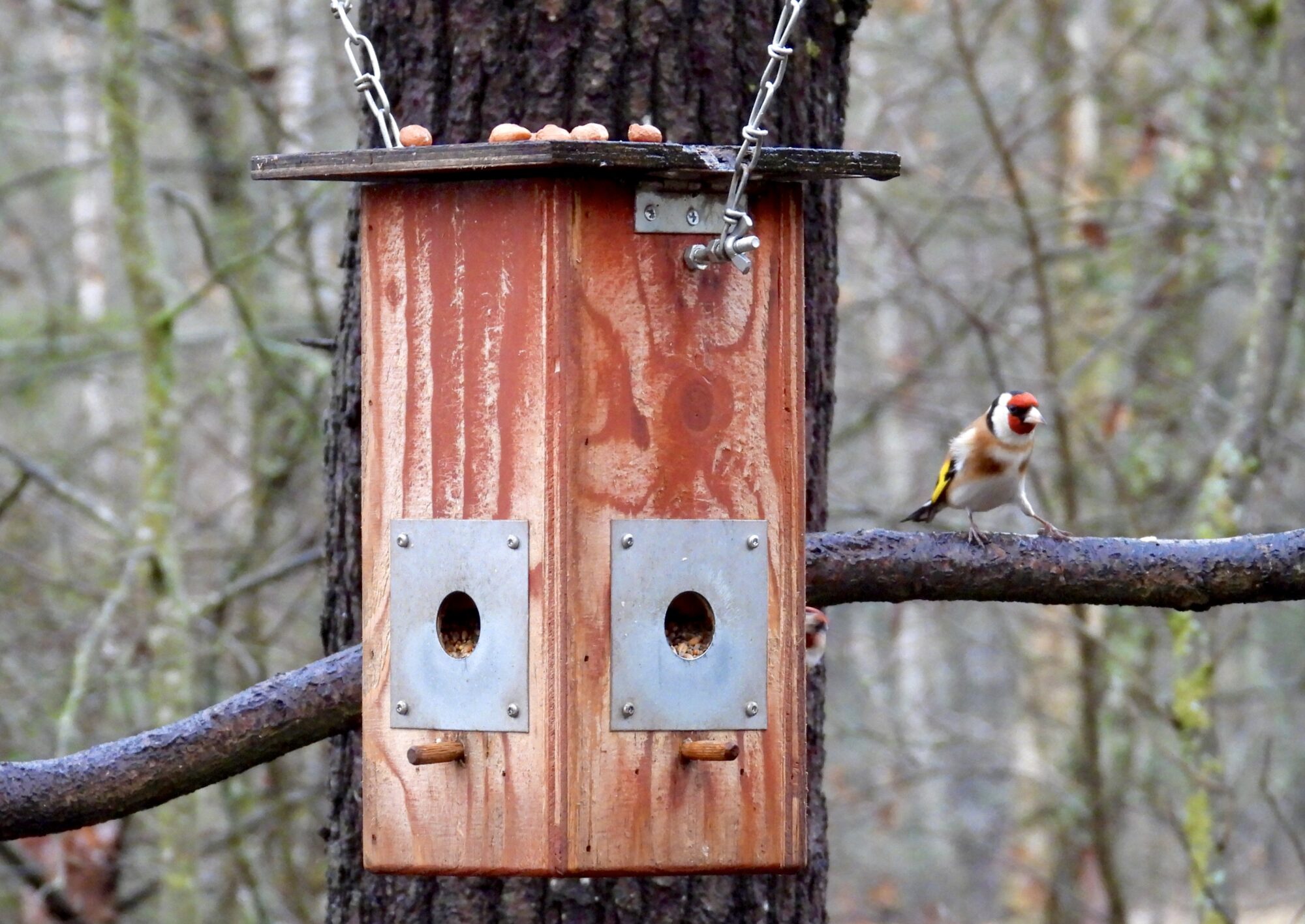 Valokuvaaja: Juhani Peltonen Valokuvaaja: Juhani Peltonen