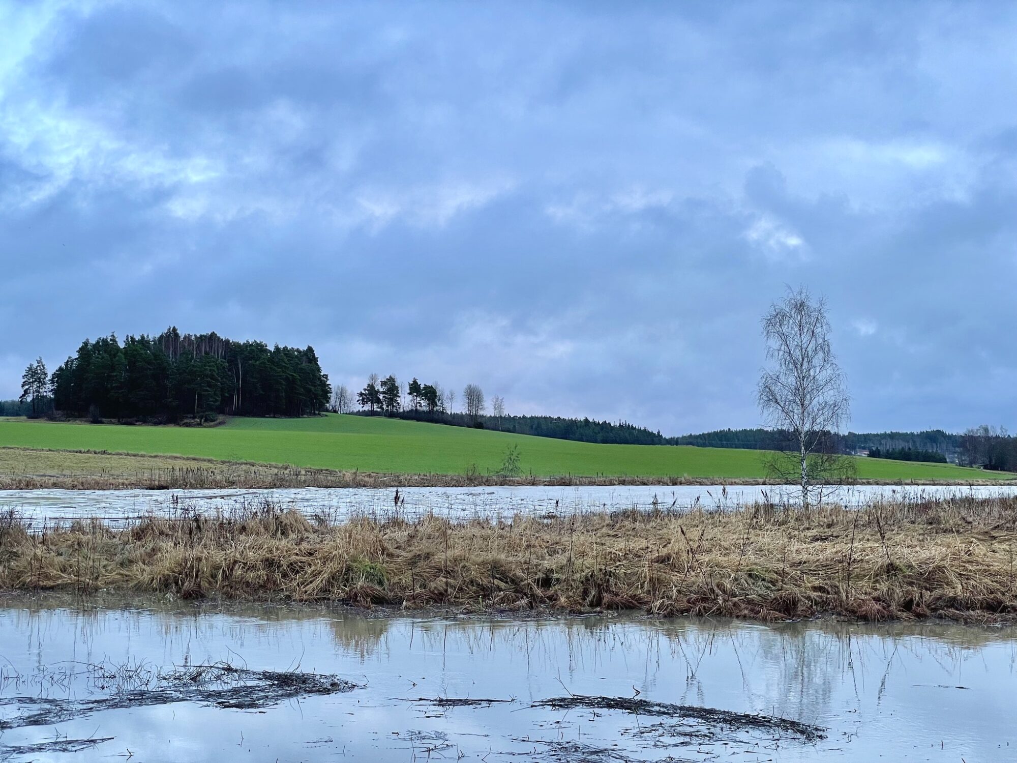 Valokuvaaja: Juhani Peltonen