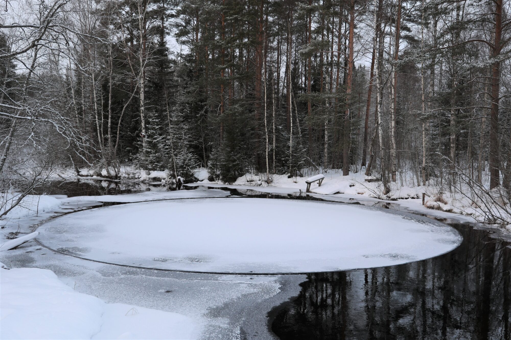 Valokuvaaja: Kaarina Heiskanen