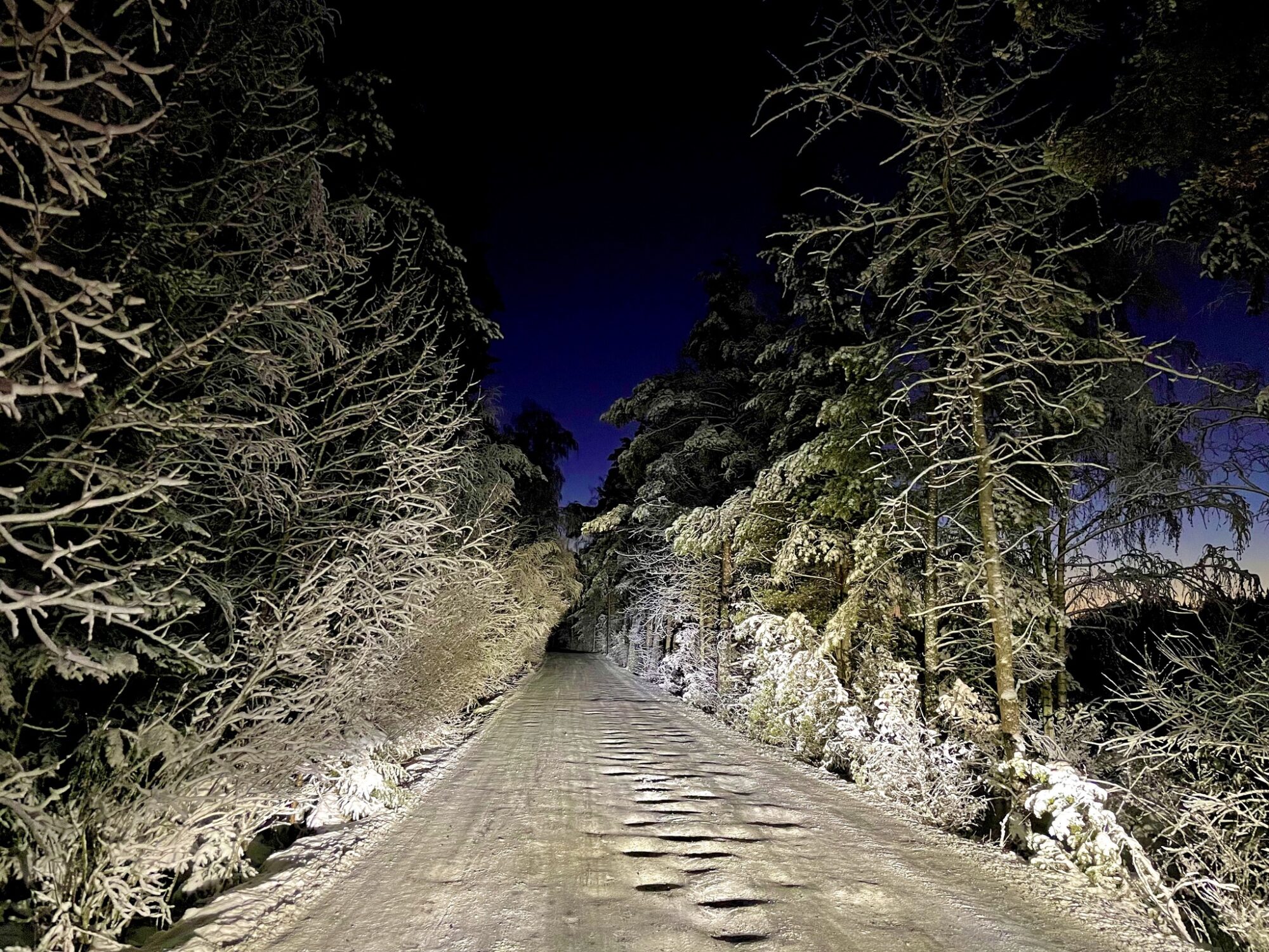 Valokuvaaja: Juhani Peltonen