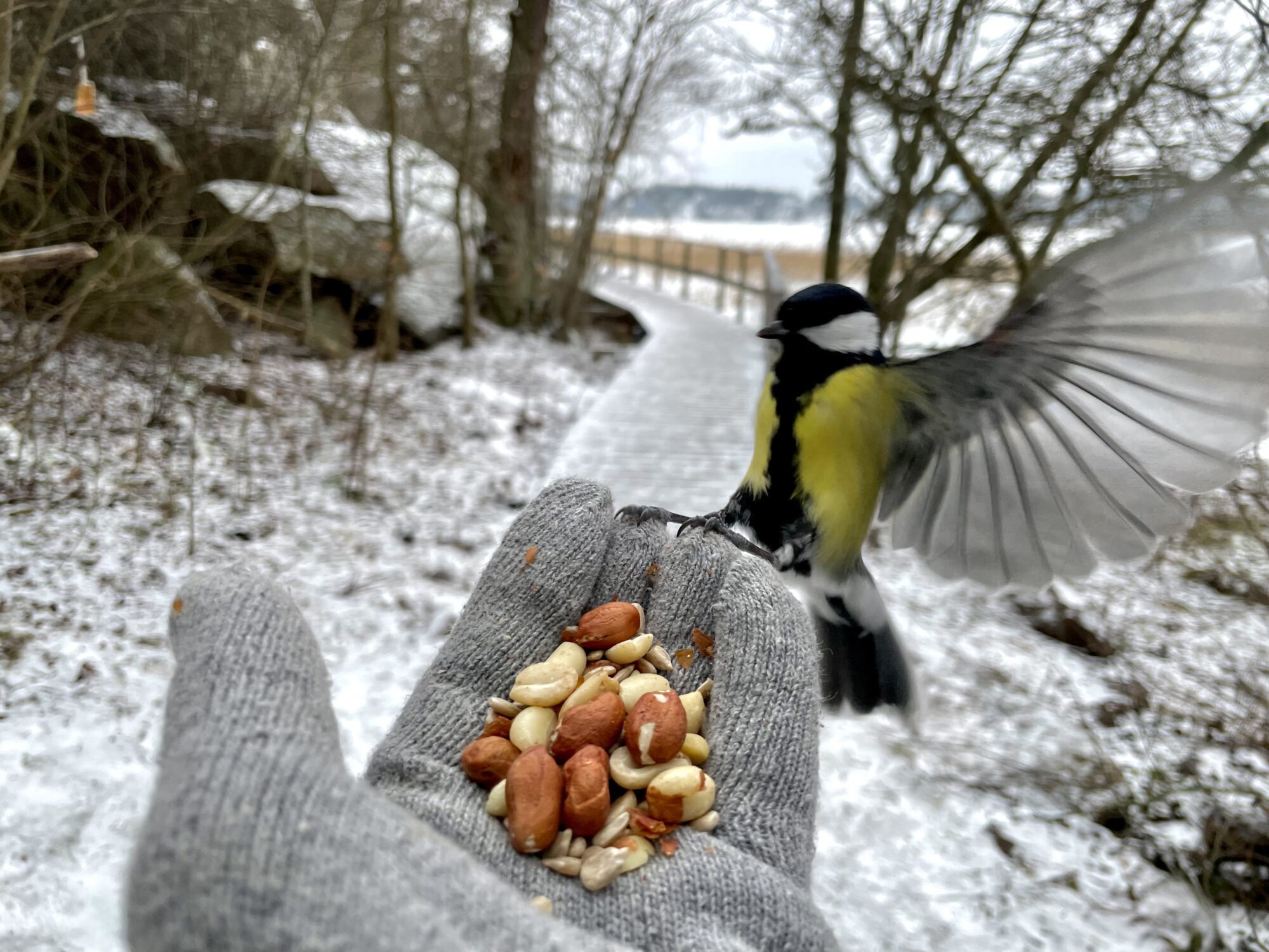 Valokuvaaja: Juhani Peltonen