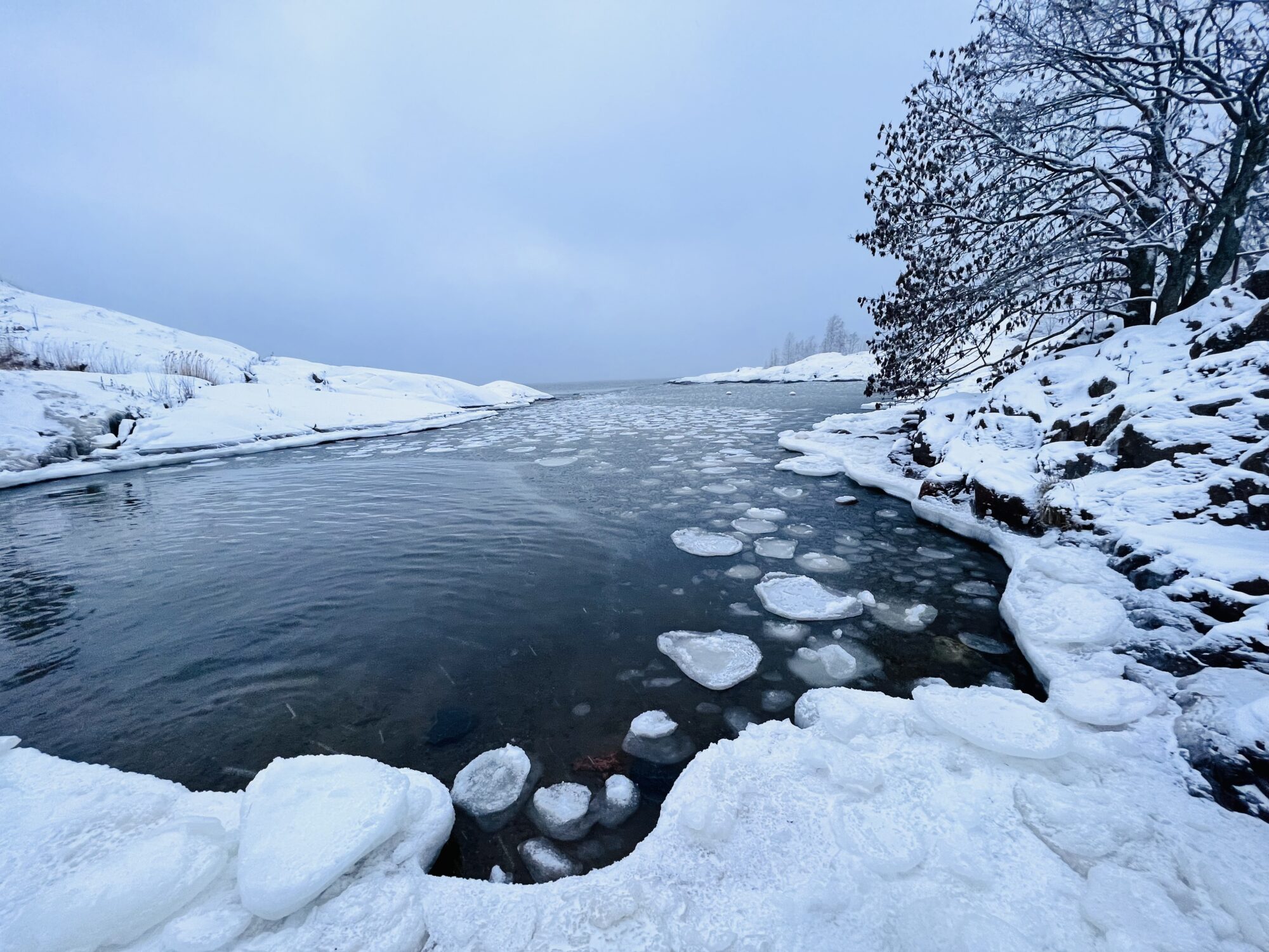 Valokuvaaja: Anne Patana