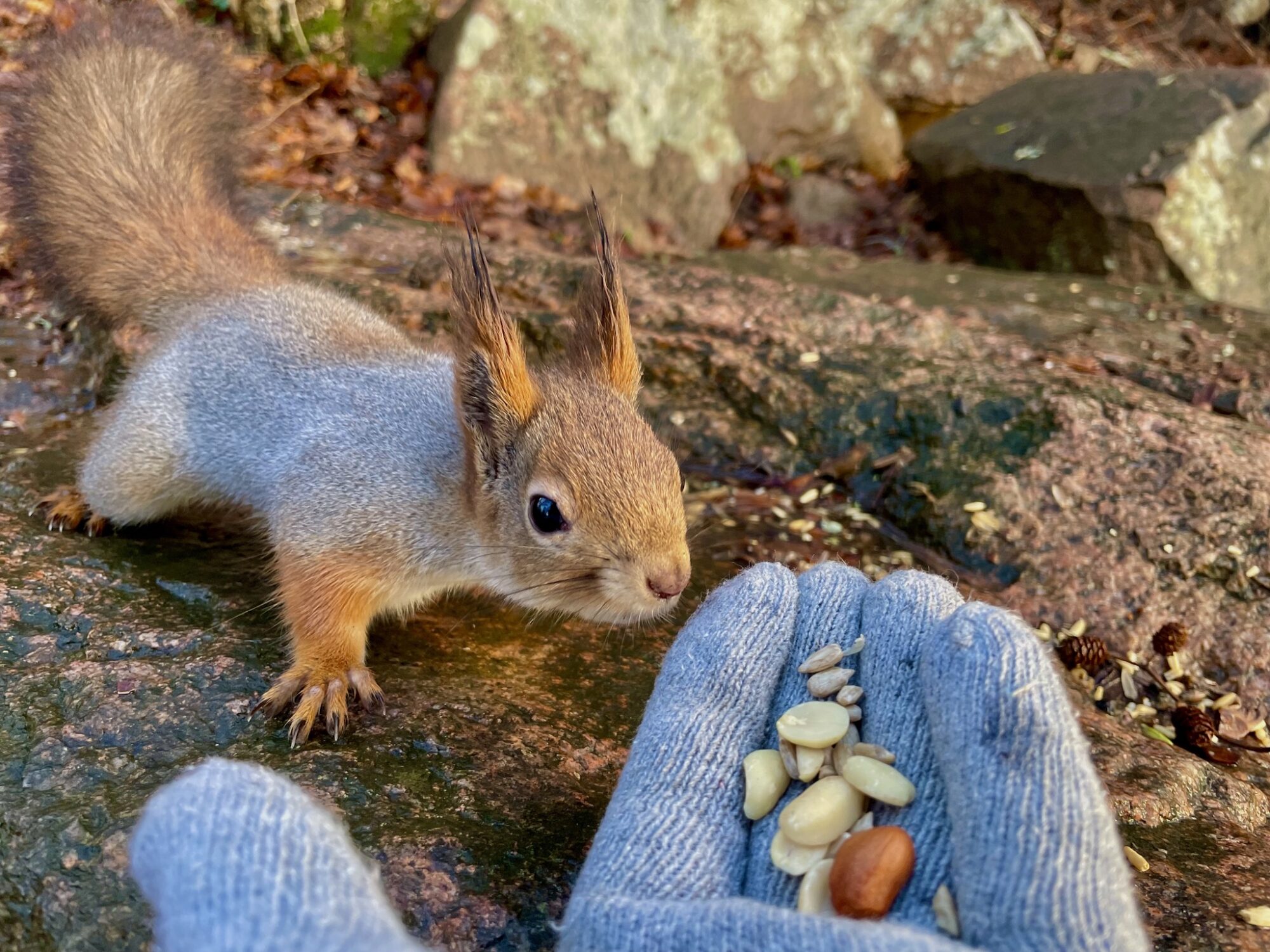 Valokuvaaja: Juhani Peltonen