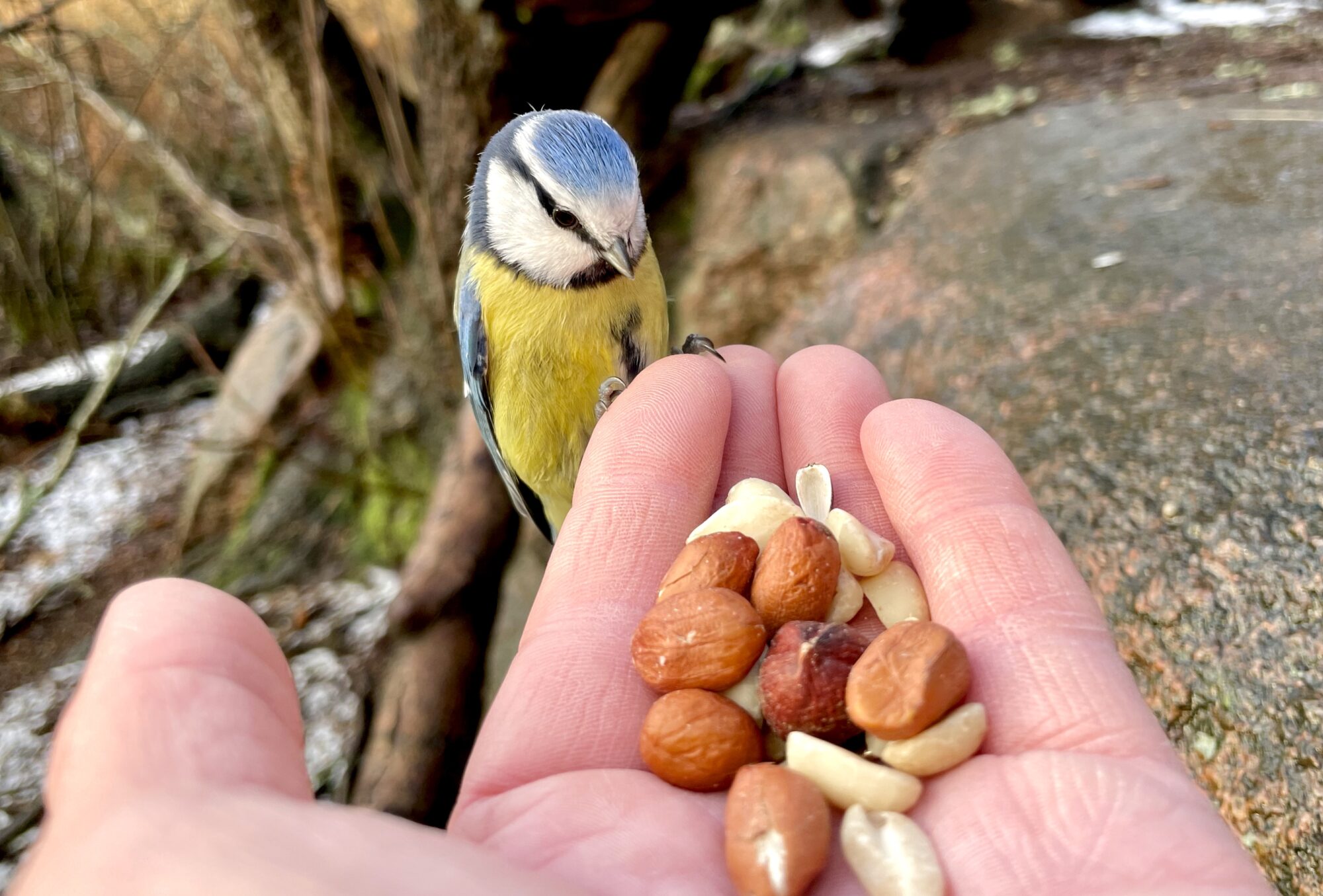 Valokuvaaja: Juhani Peltonen