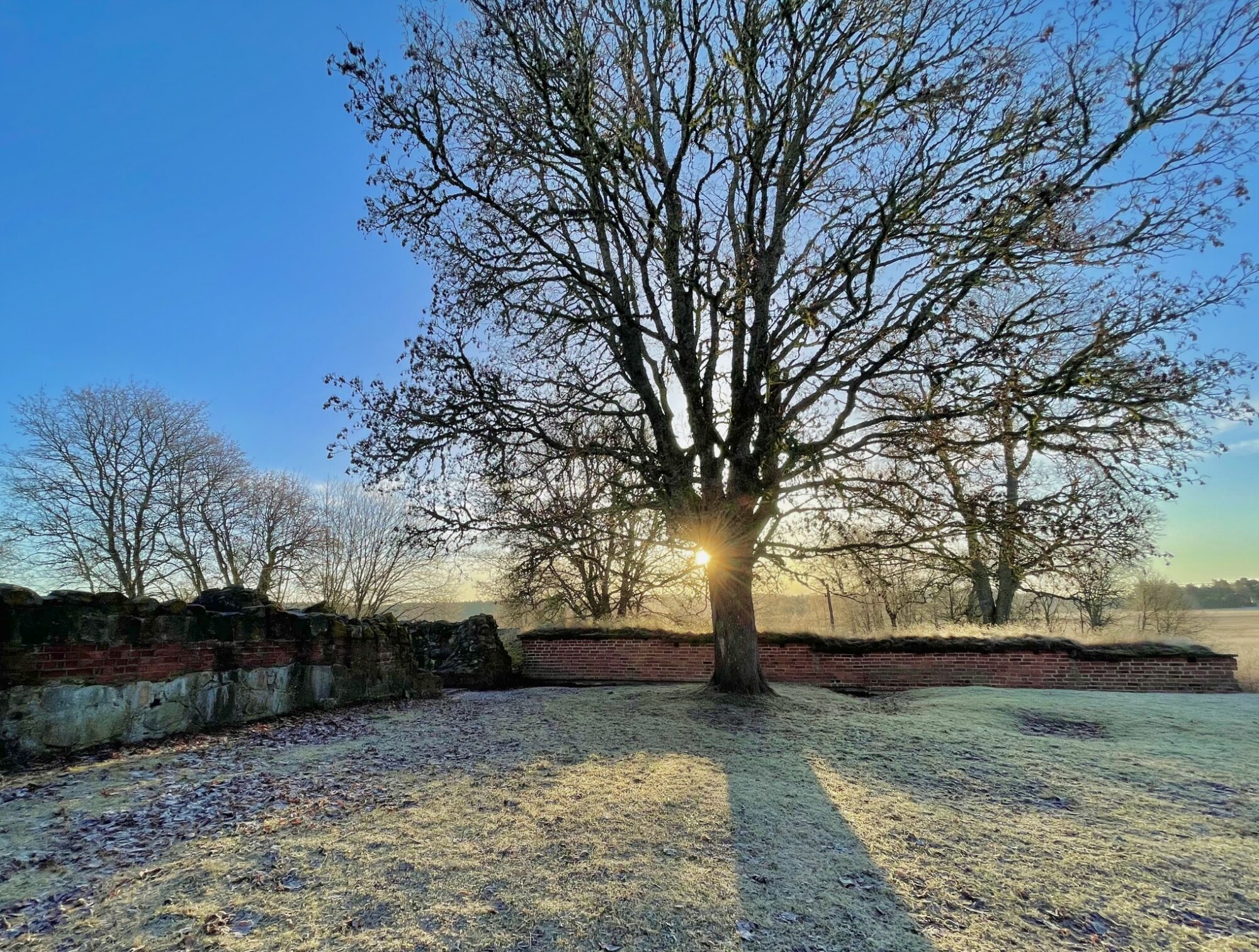 Valokuvaaja: Juhani Peltonen