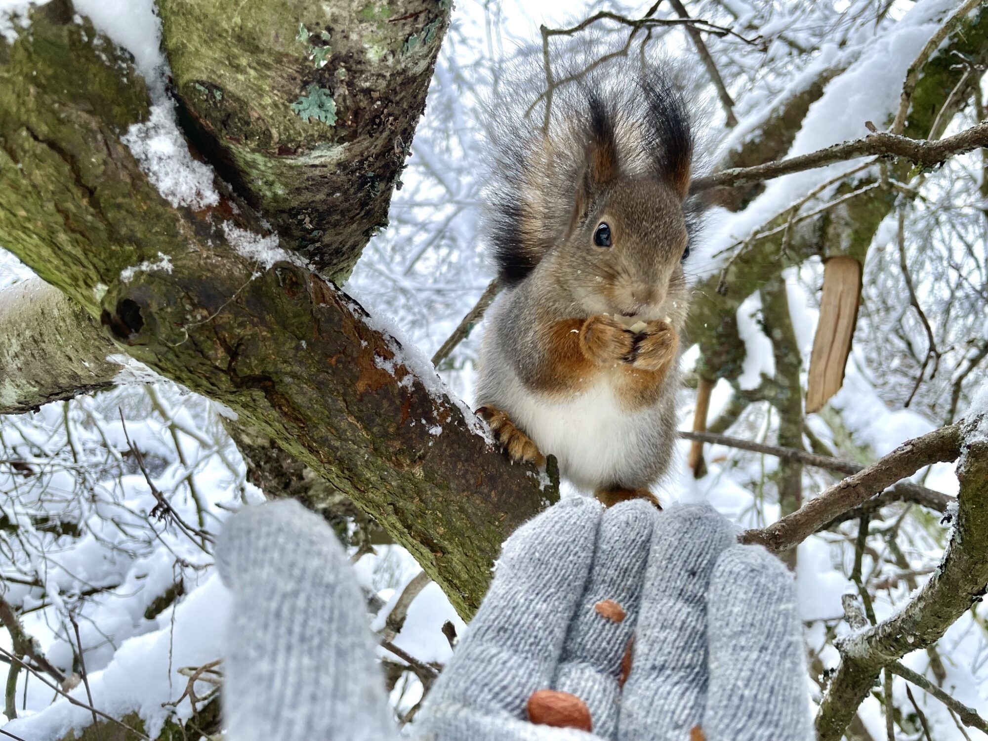 Valokuvaaja: Juhani Peltonen Valokuvaaja: Juhani Peltonen