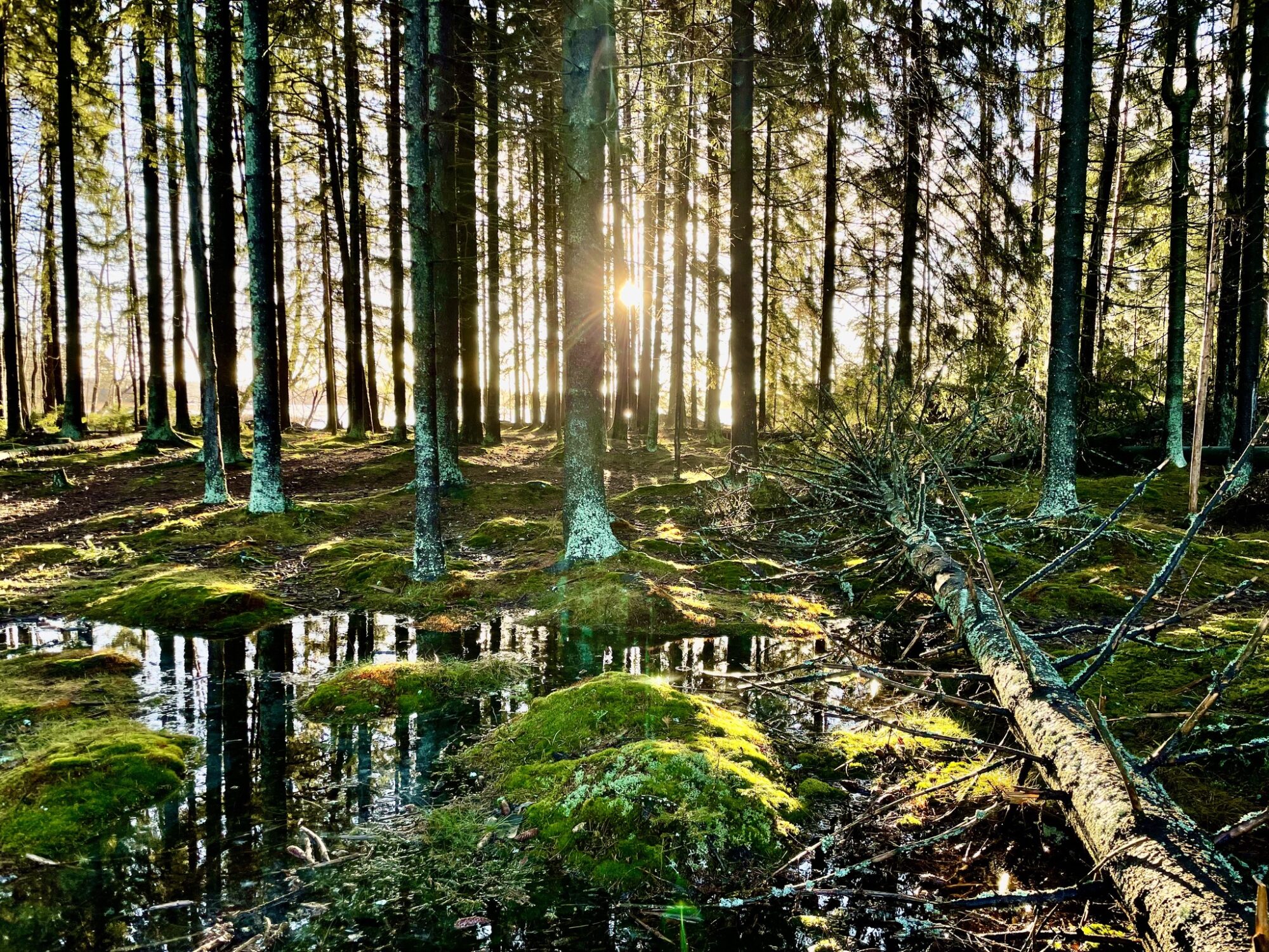 Valokuvaaja: Juhani Peltonen