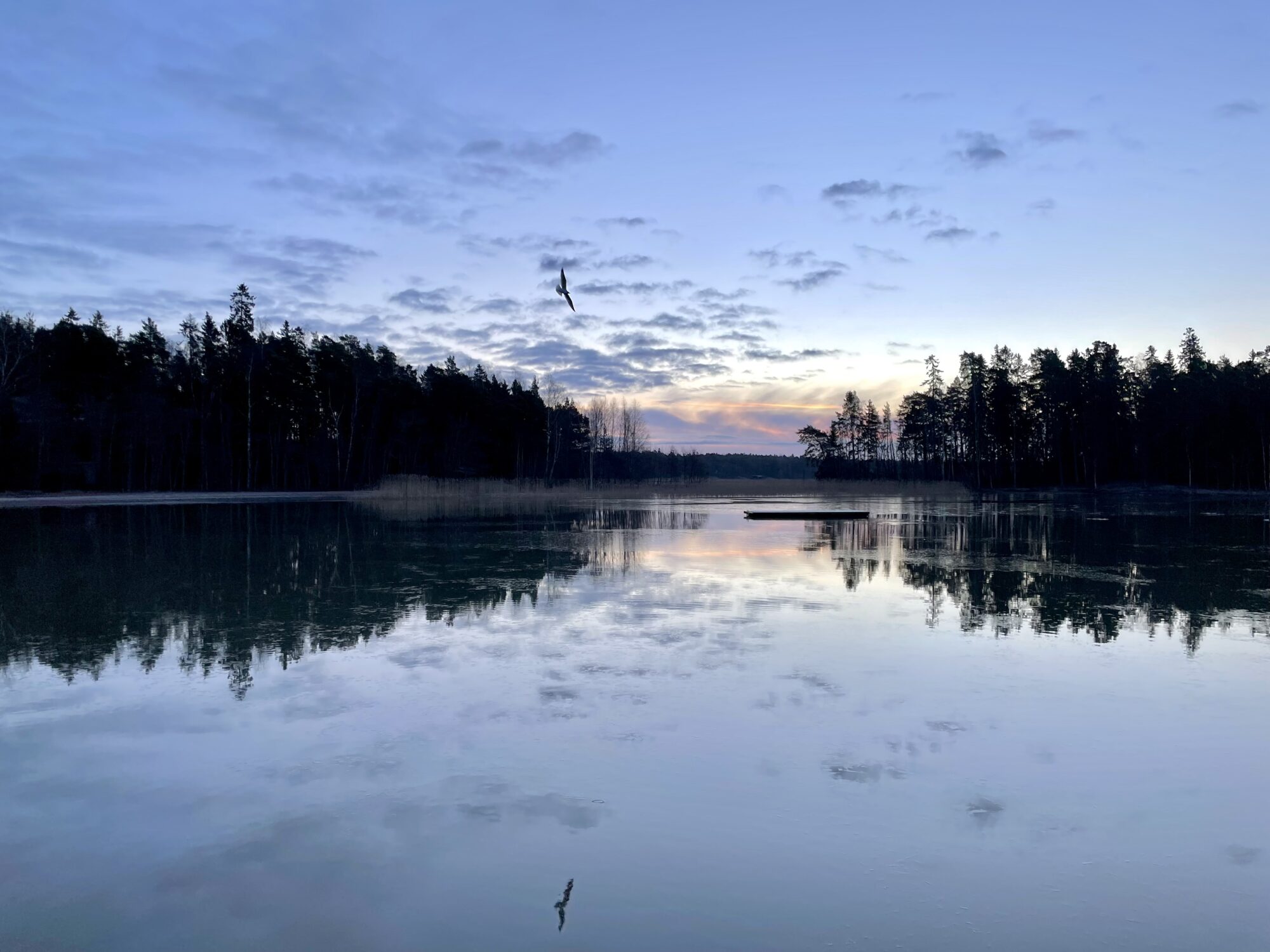 Valokuvaaja: Juhani Peltonen