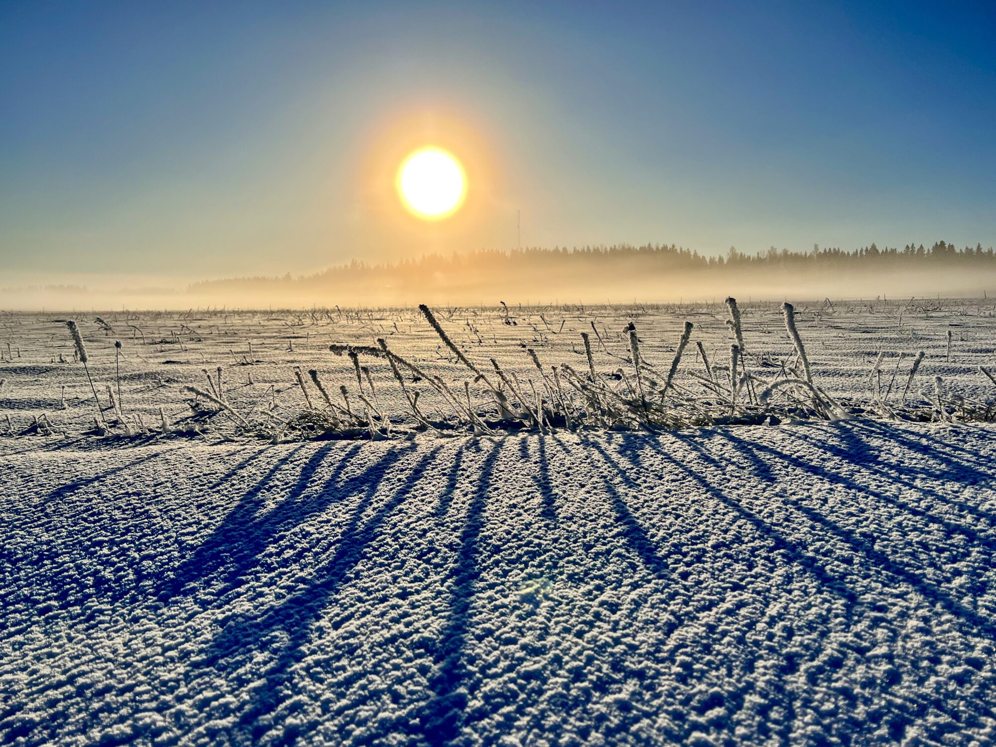 Valokuvaaja: Anne Patana