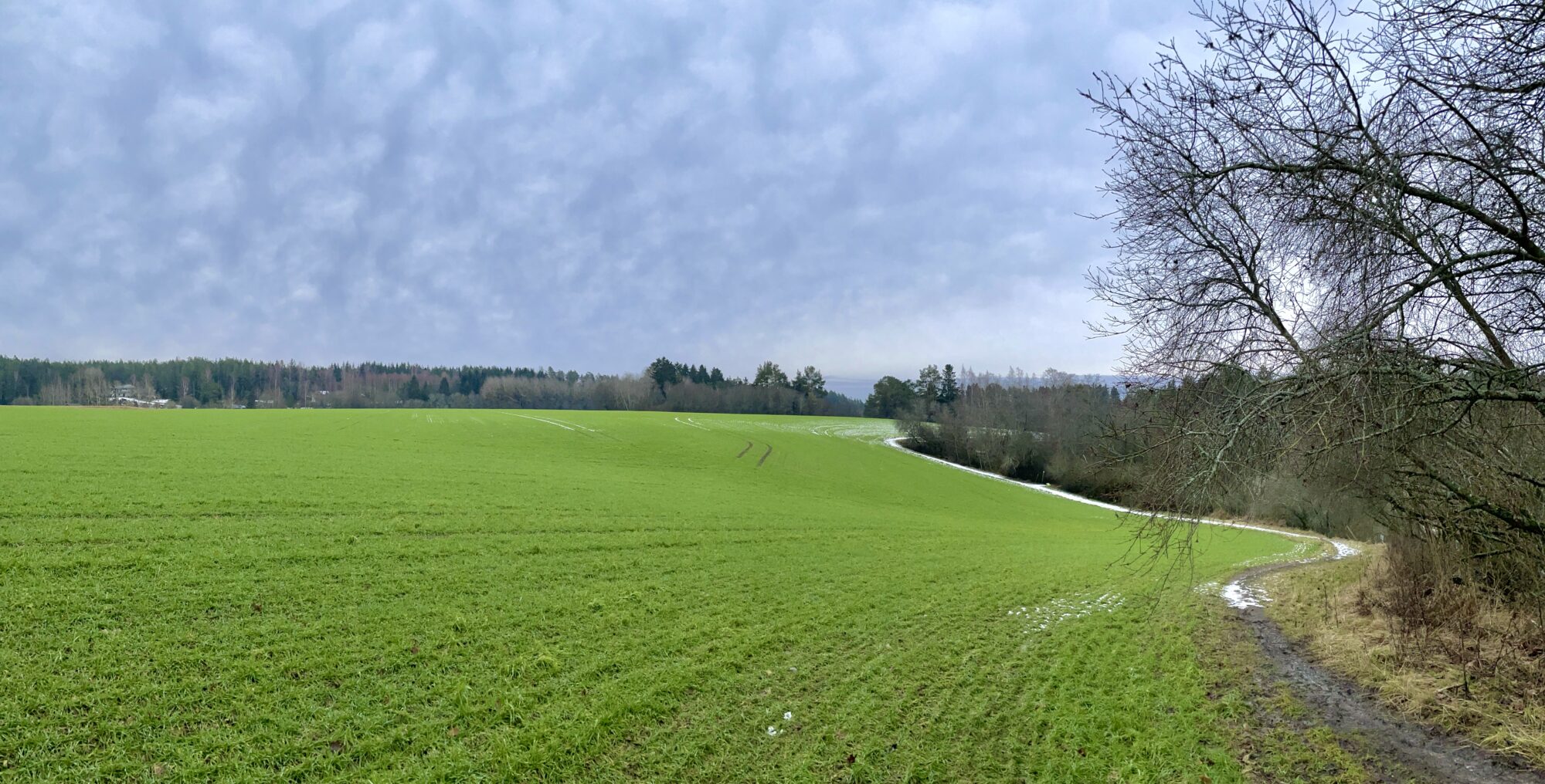 Valokuvaaja: Juhani Peltonen