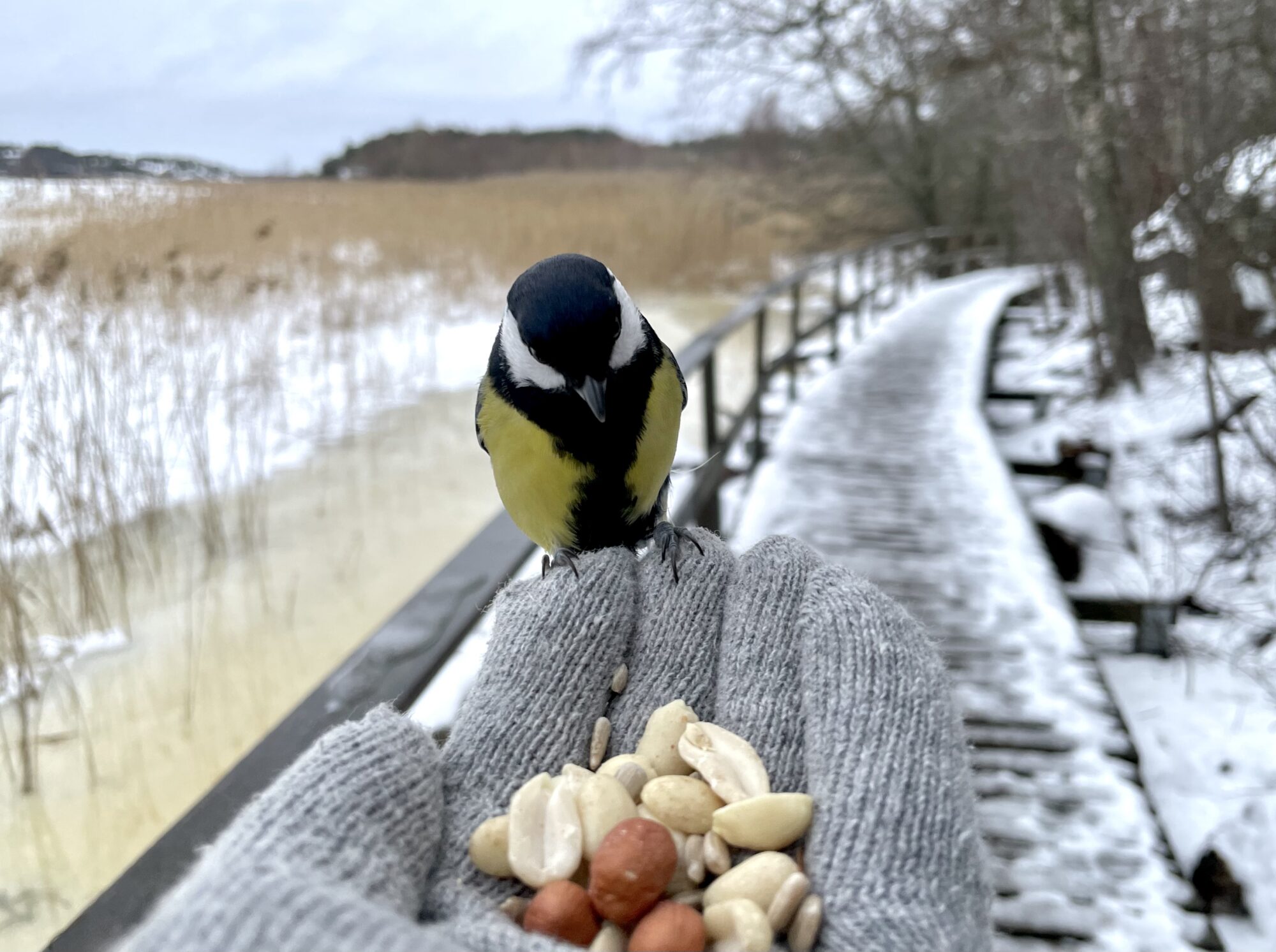 Valokuvaaja: Juhani Peltonen