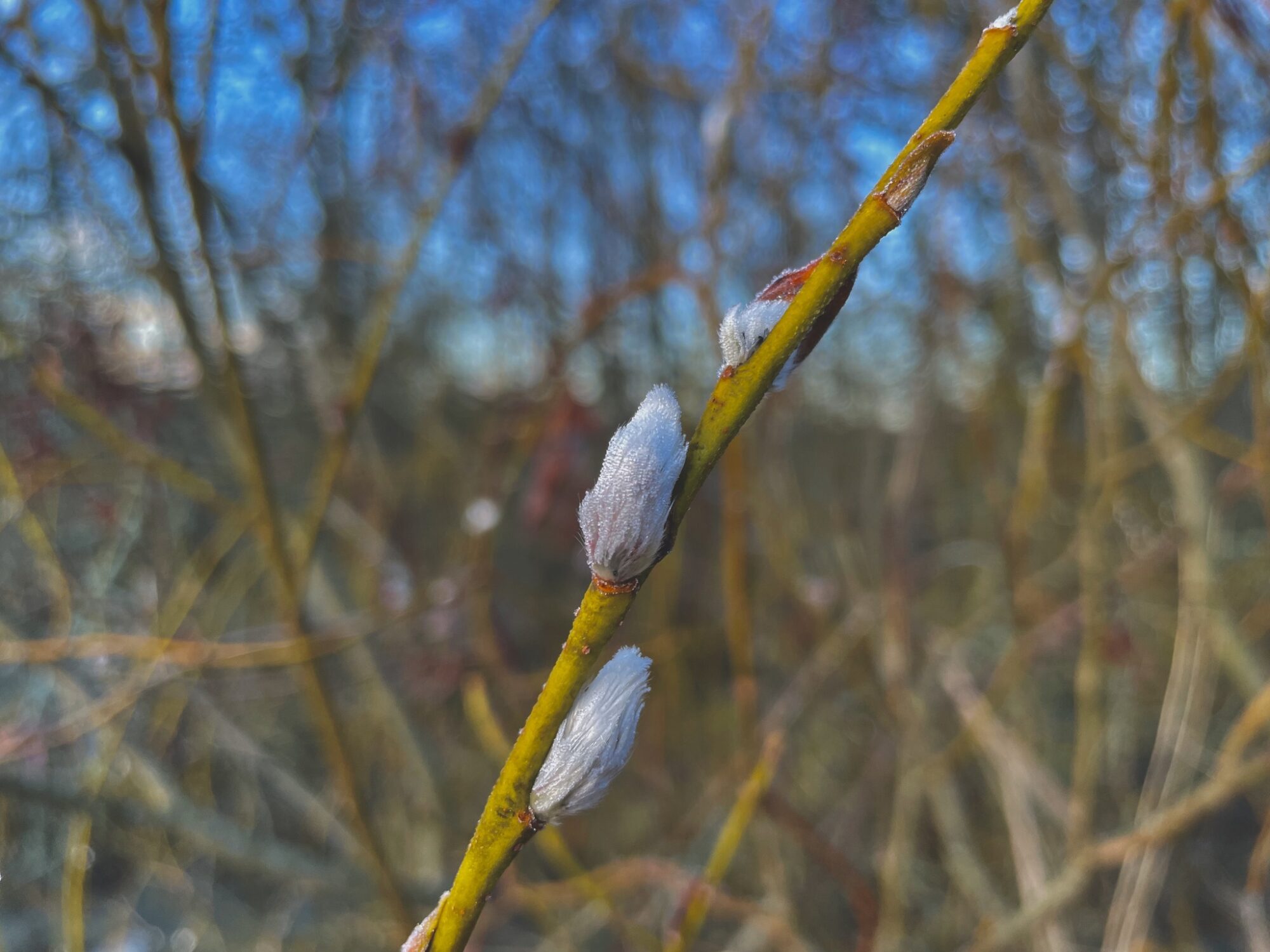 Valokuvaaja: Juhani Peltonen