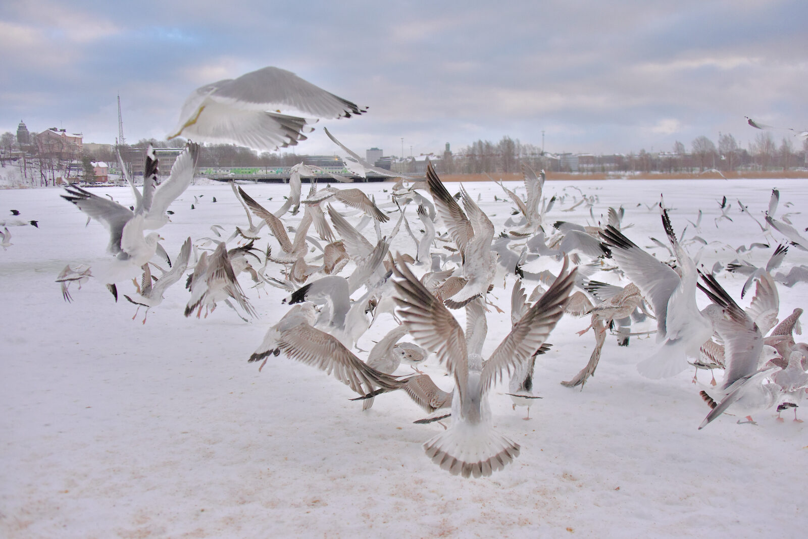 Valokuvaaja: Reijo Juurinen