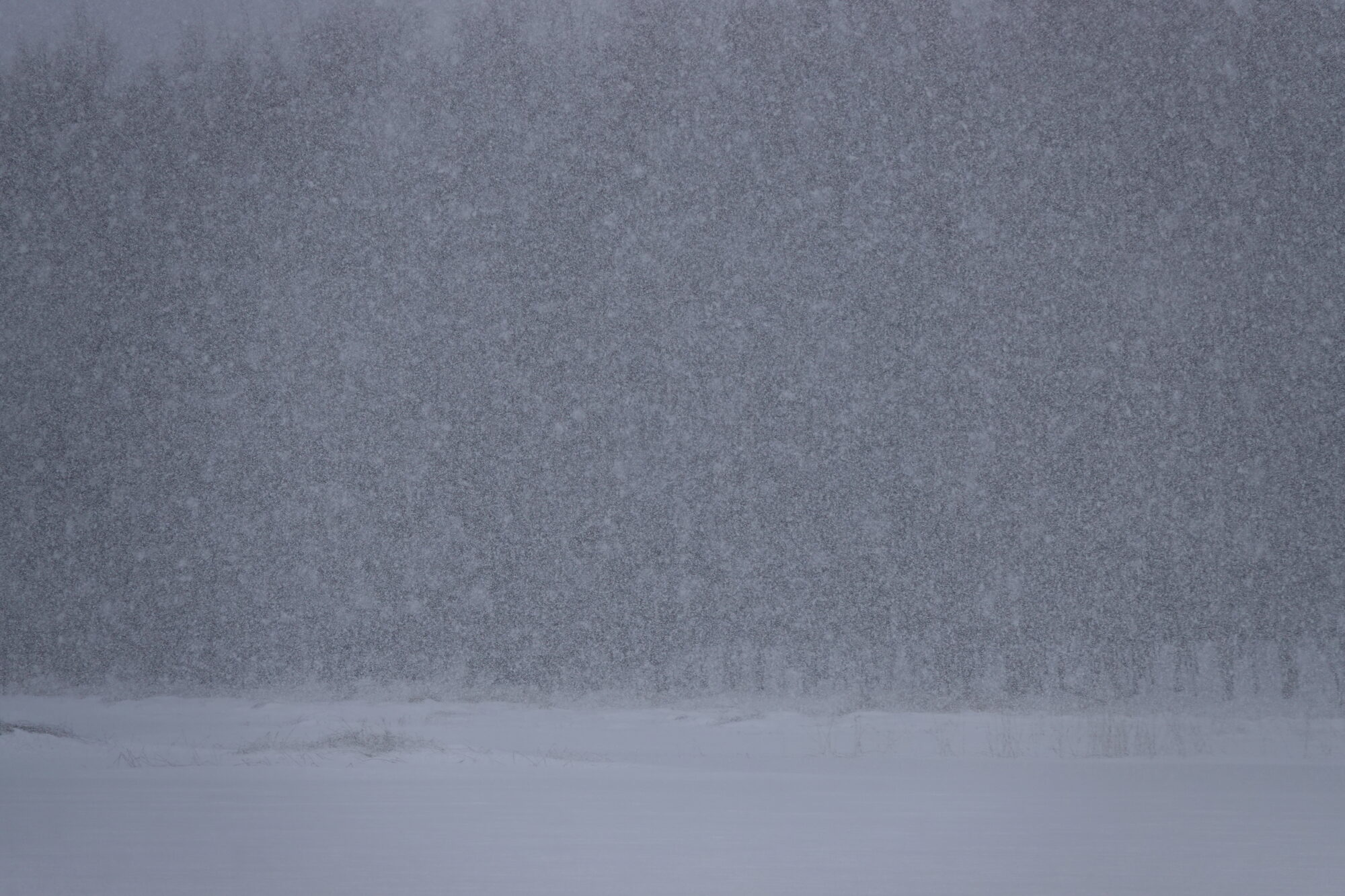 Valokuvaaja: Jenna Pitkänen
