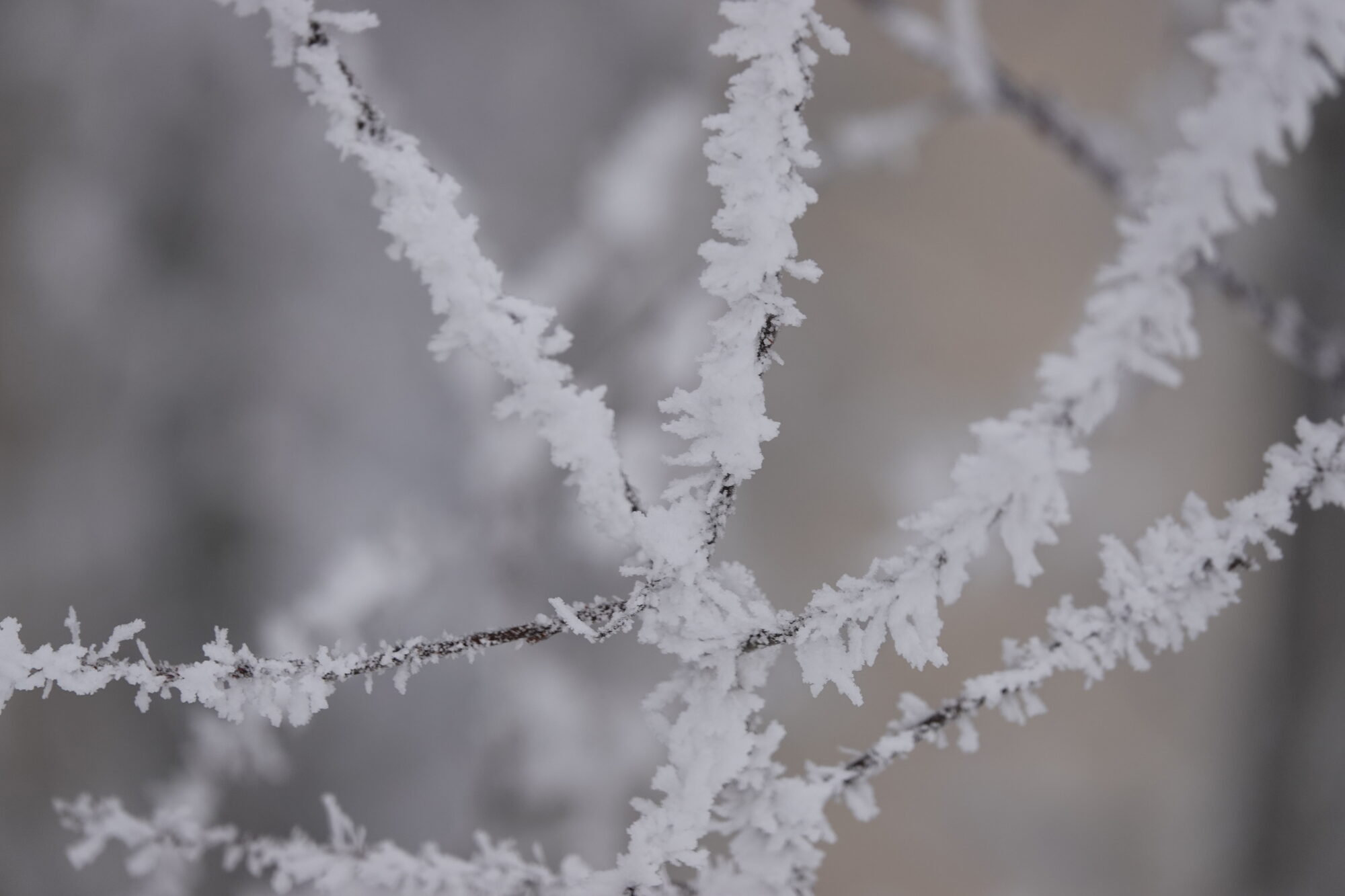 Valokuvaaja: Jenna Pitkänen