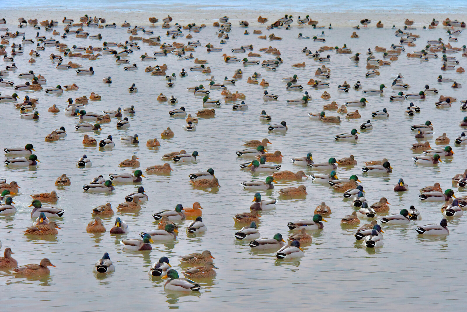 Valokuvaaja: Reijo Juurinen