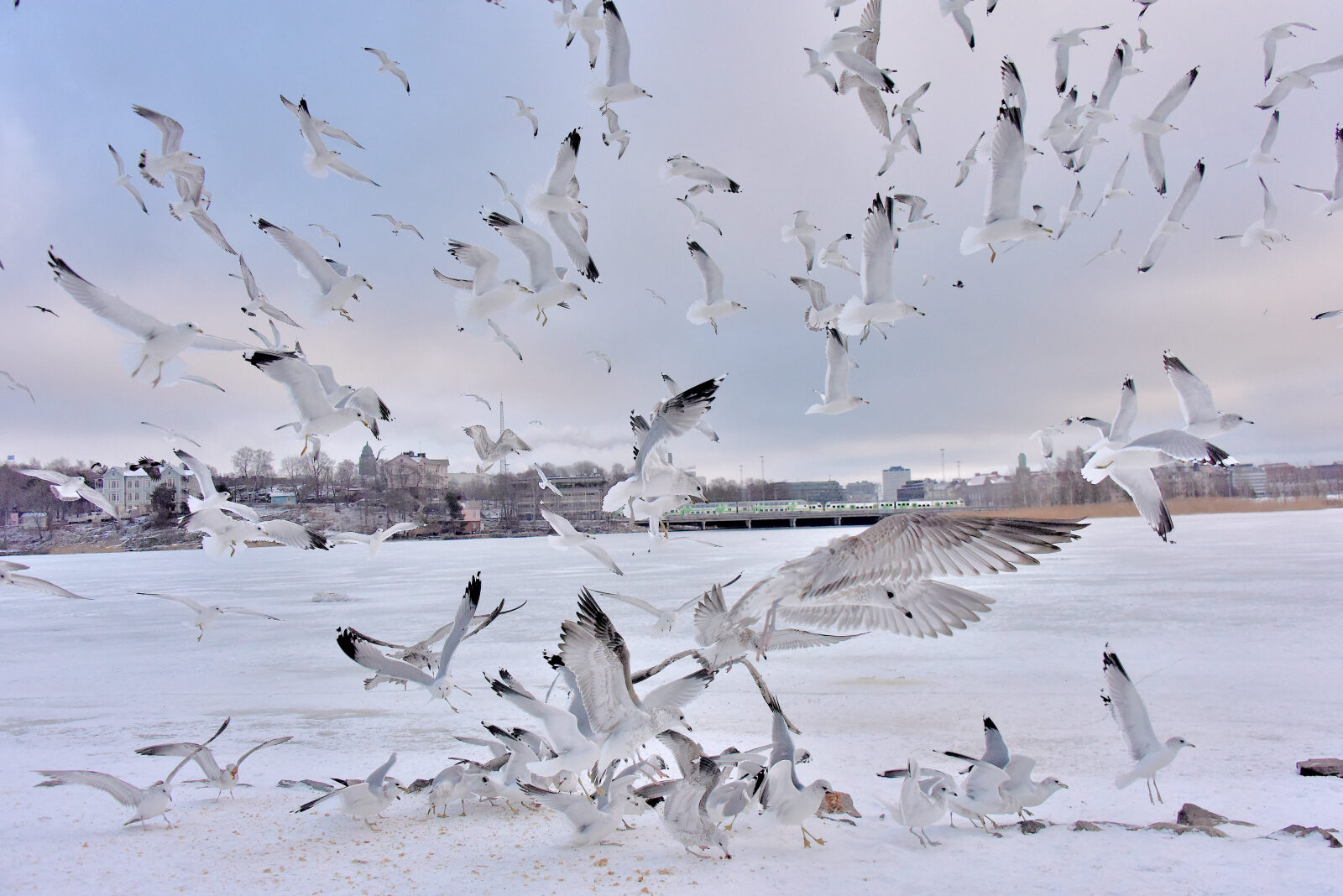 Valokuvaaja: Reijo Juurinen