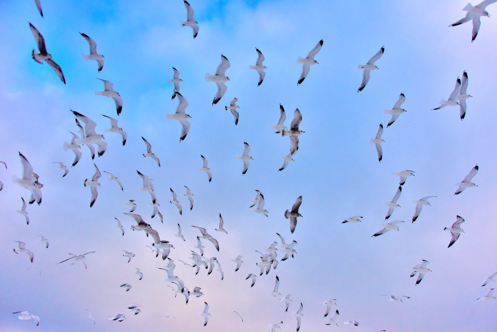 Valokuvaaja: Reijo Juurinen