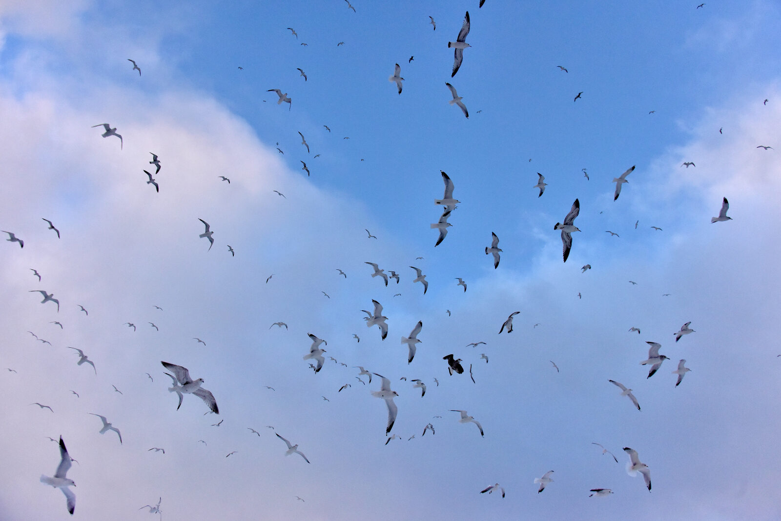 Valokuvaaja: Reijo Juurinen