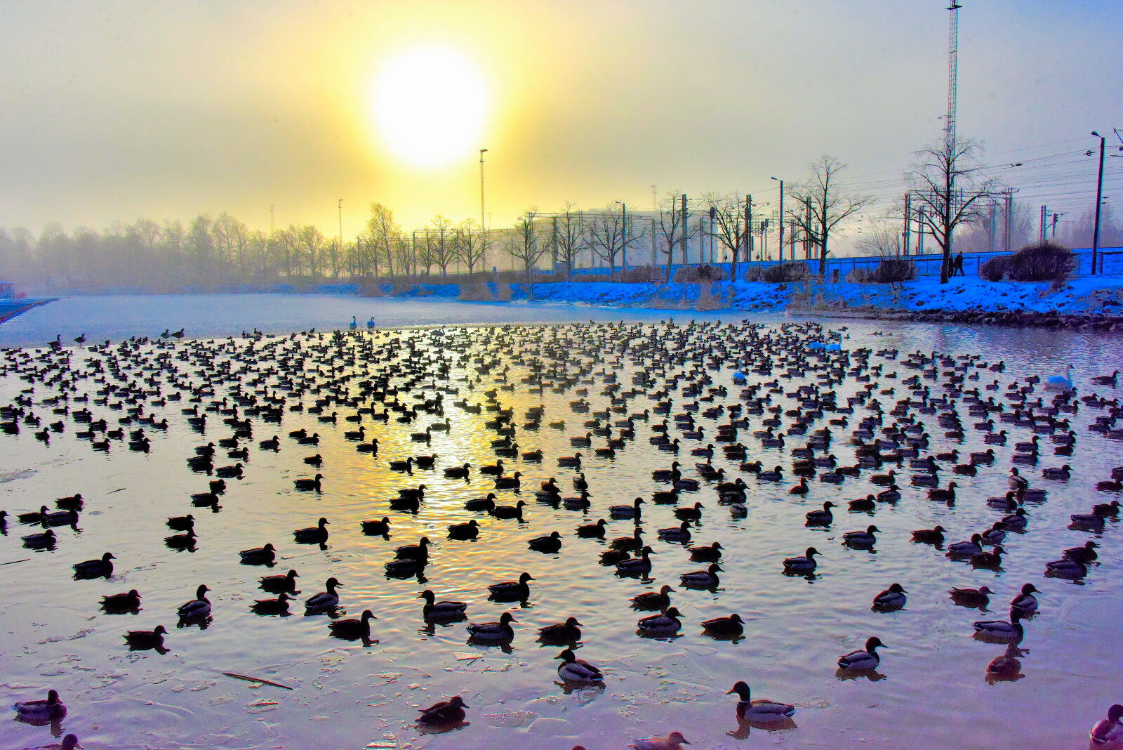 Valokuvaaja: Reijo Juurinen Valokuvaaja: Reijo Juurinen