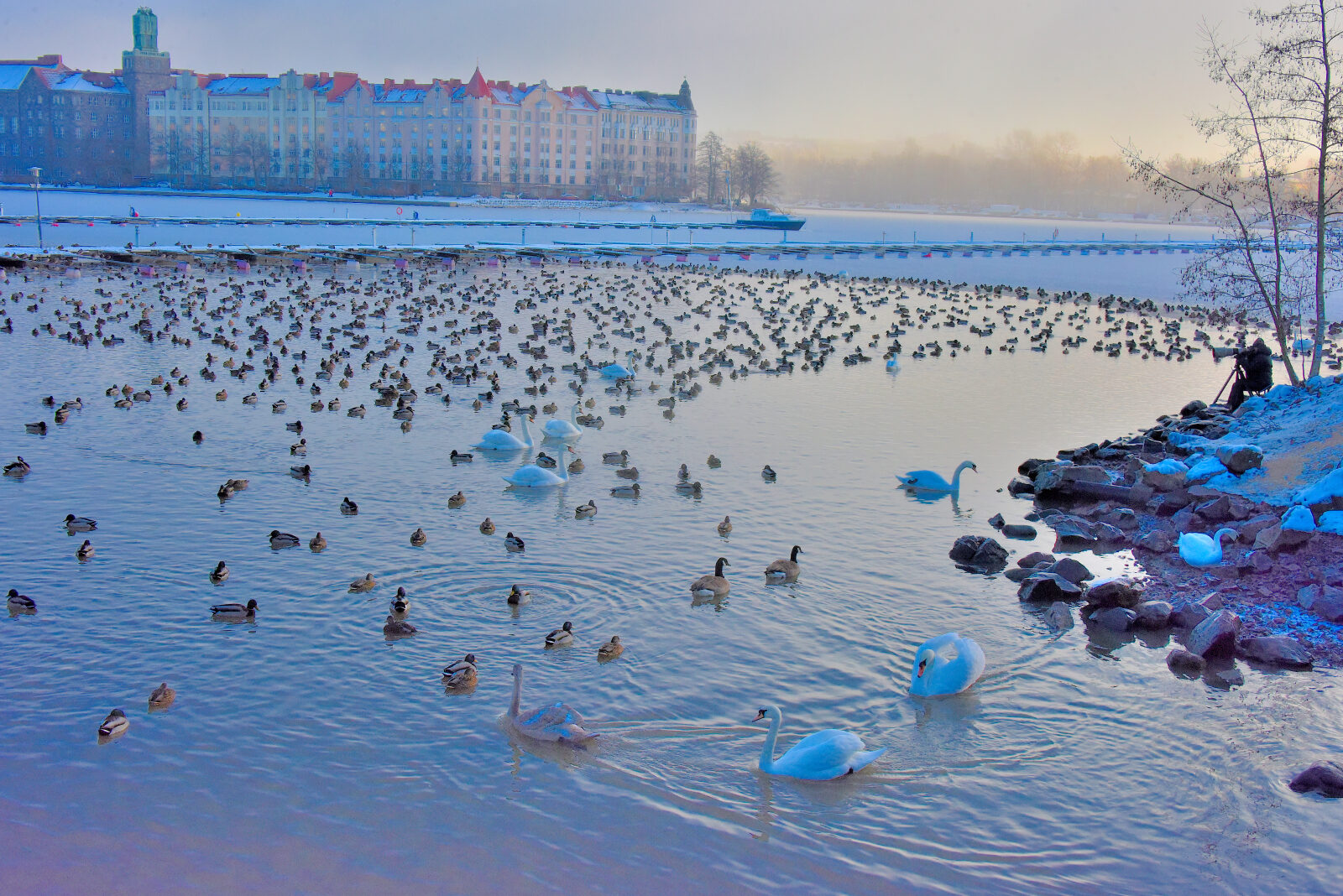 Valokuvaaja: Reijo Juurinen Valokuvaaja: Reijo Juurinen