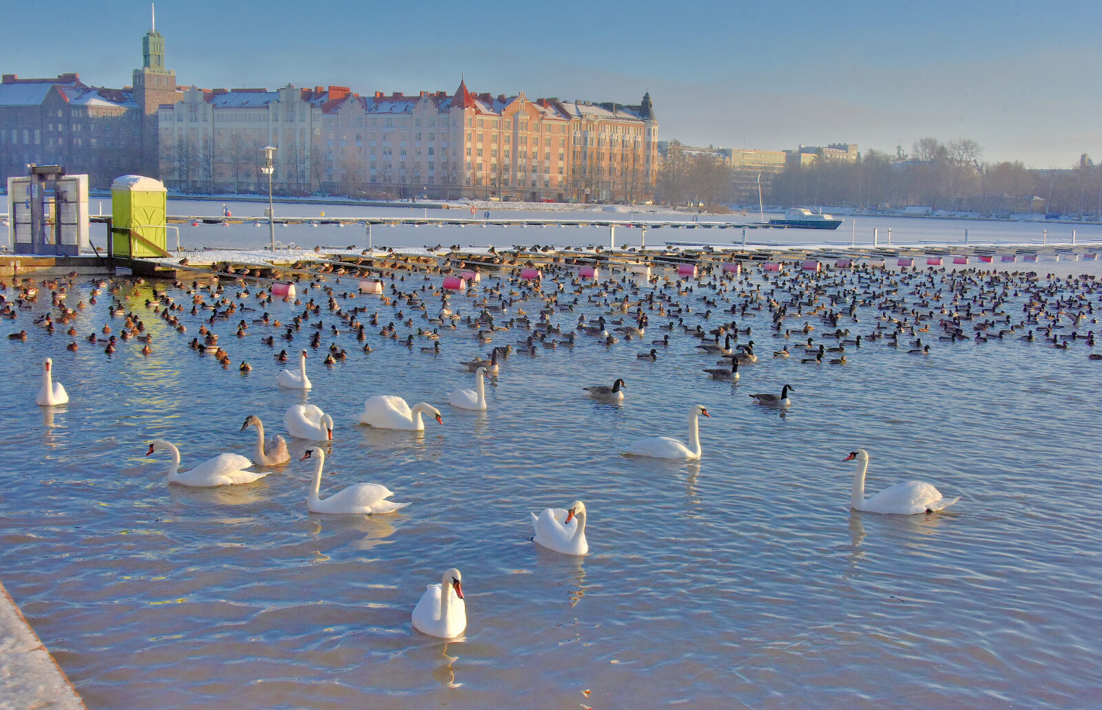 Valokuvaaja: Reijo Juurinen