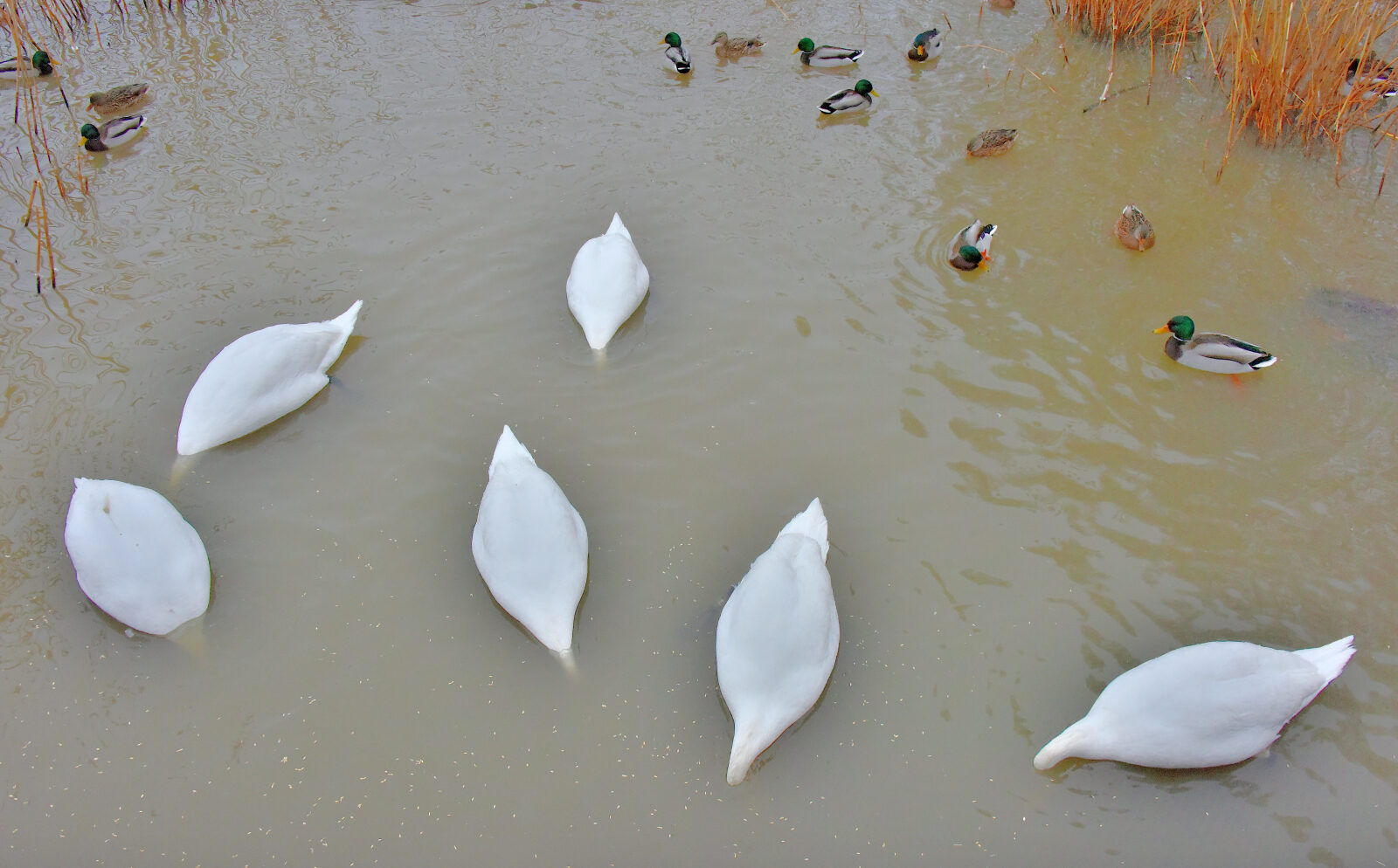 Valokuvaaja: Reijo Juurinen