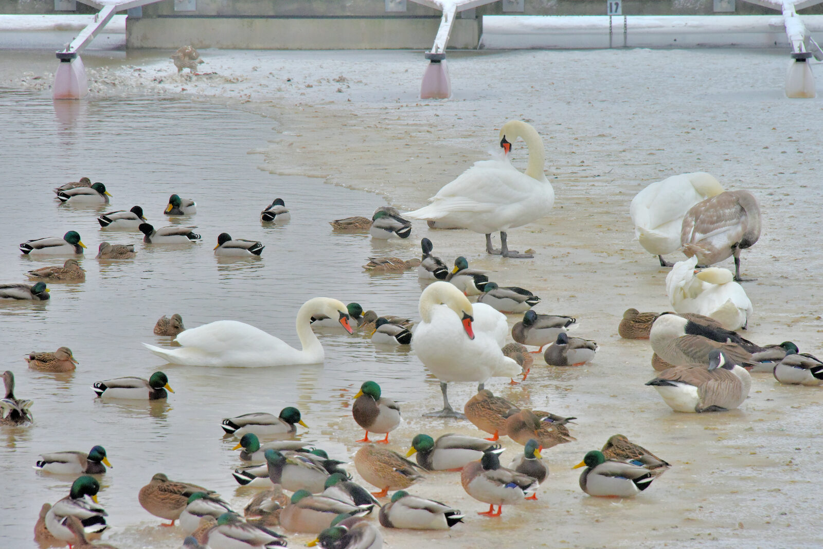 Valokuvaaja: Reijo Juurinen