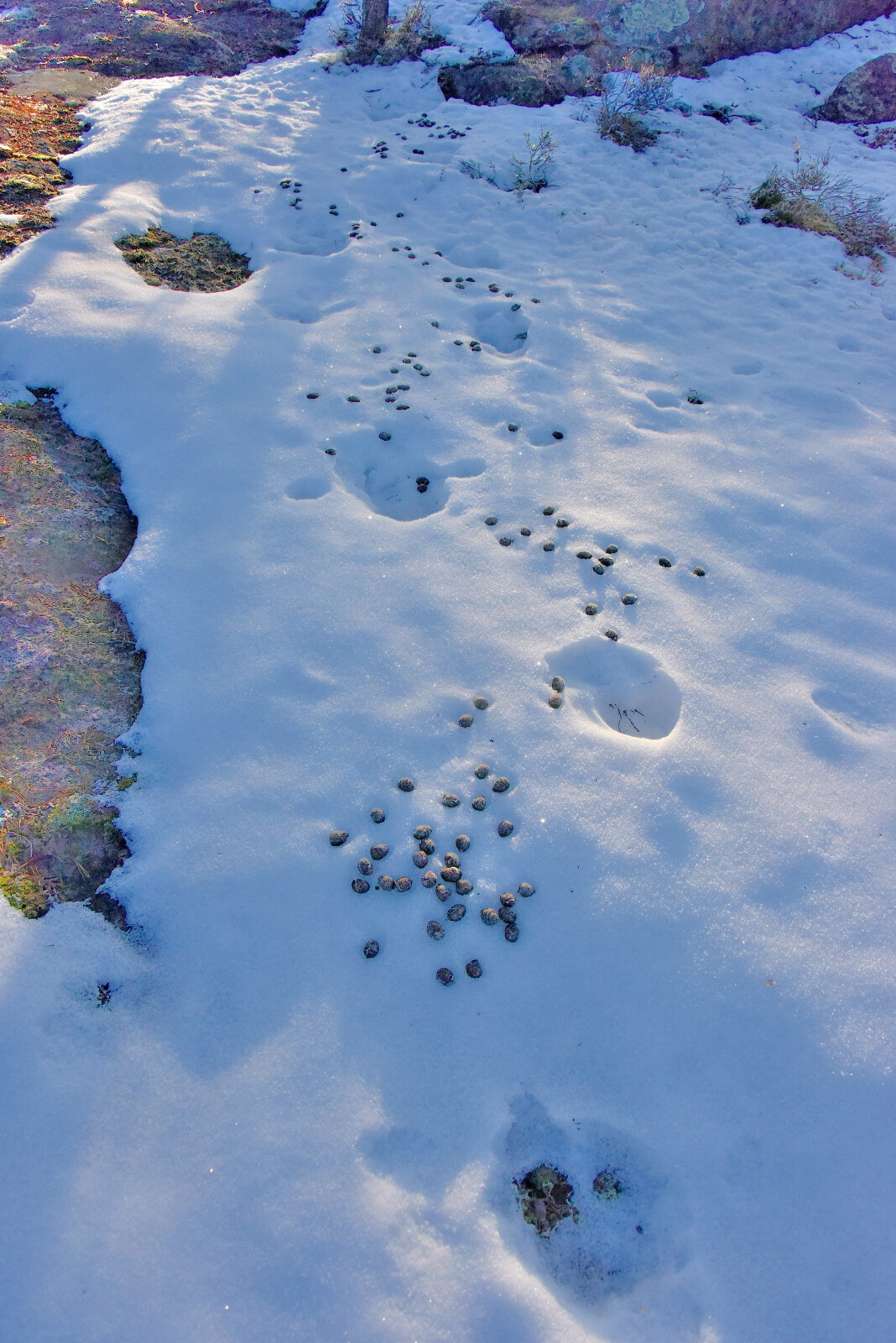 Valokuvaaja: Reijo Juurinen