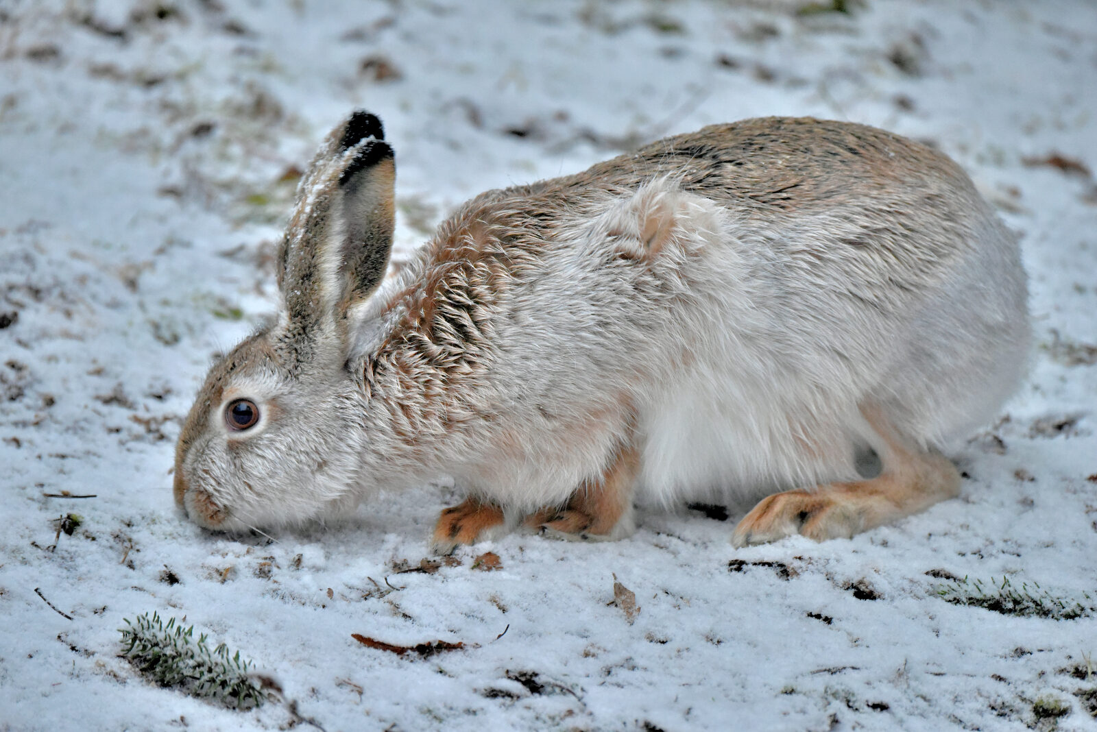 Valokuvaaja: Reijo Juurinen Valokuvaaja: Reijo Juurinen