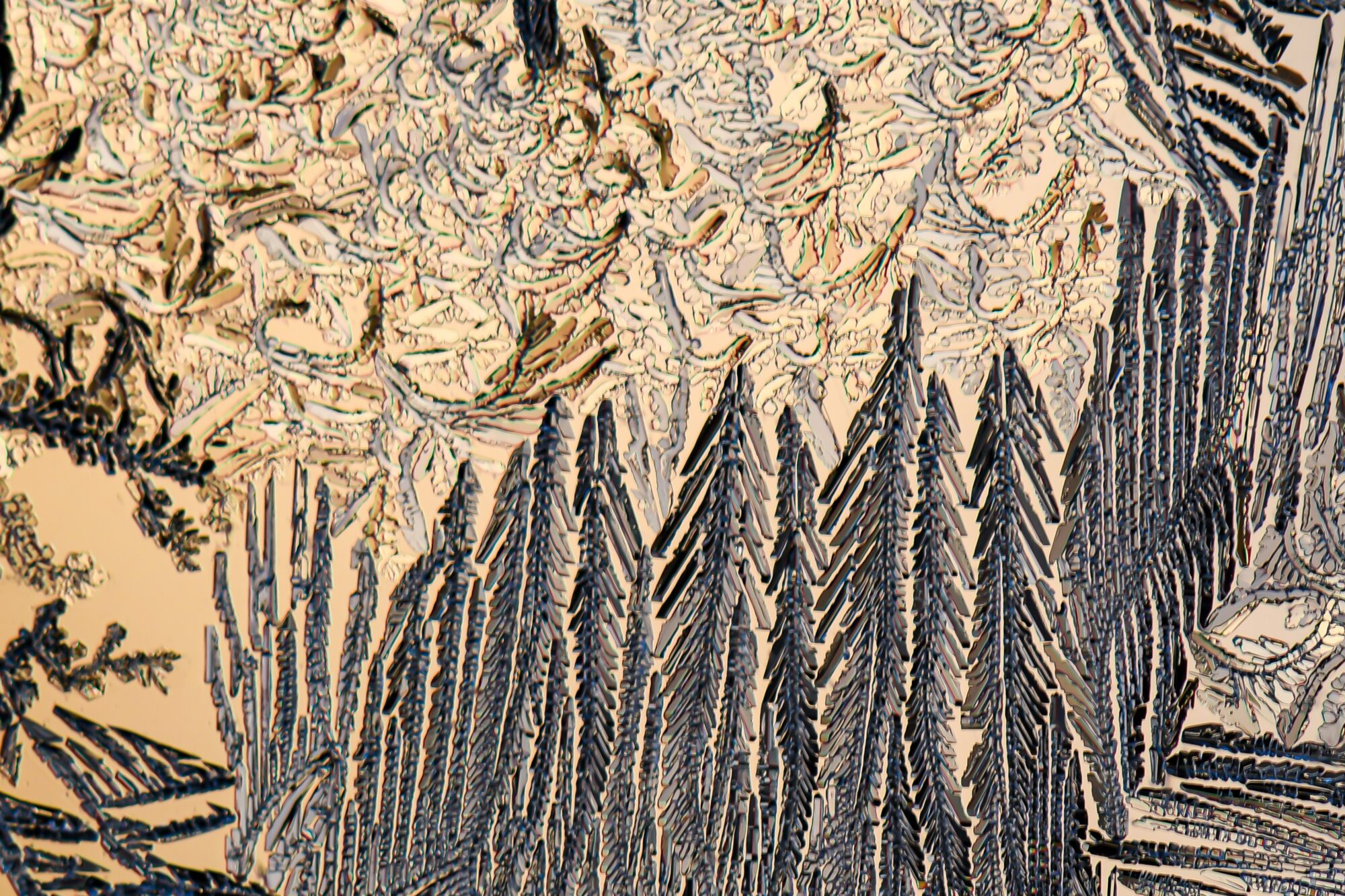 Valokuvaaja: Leena Rissanen