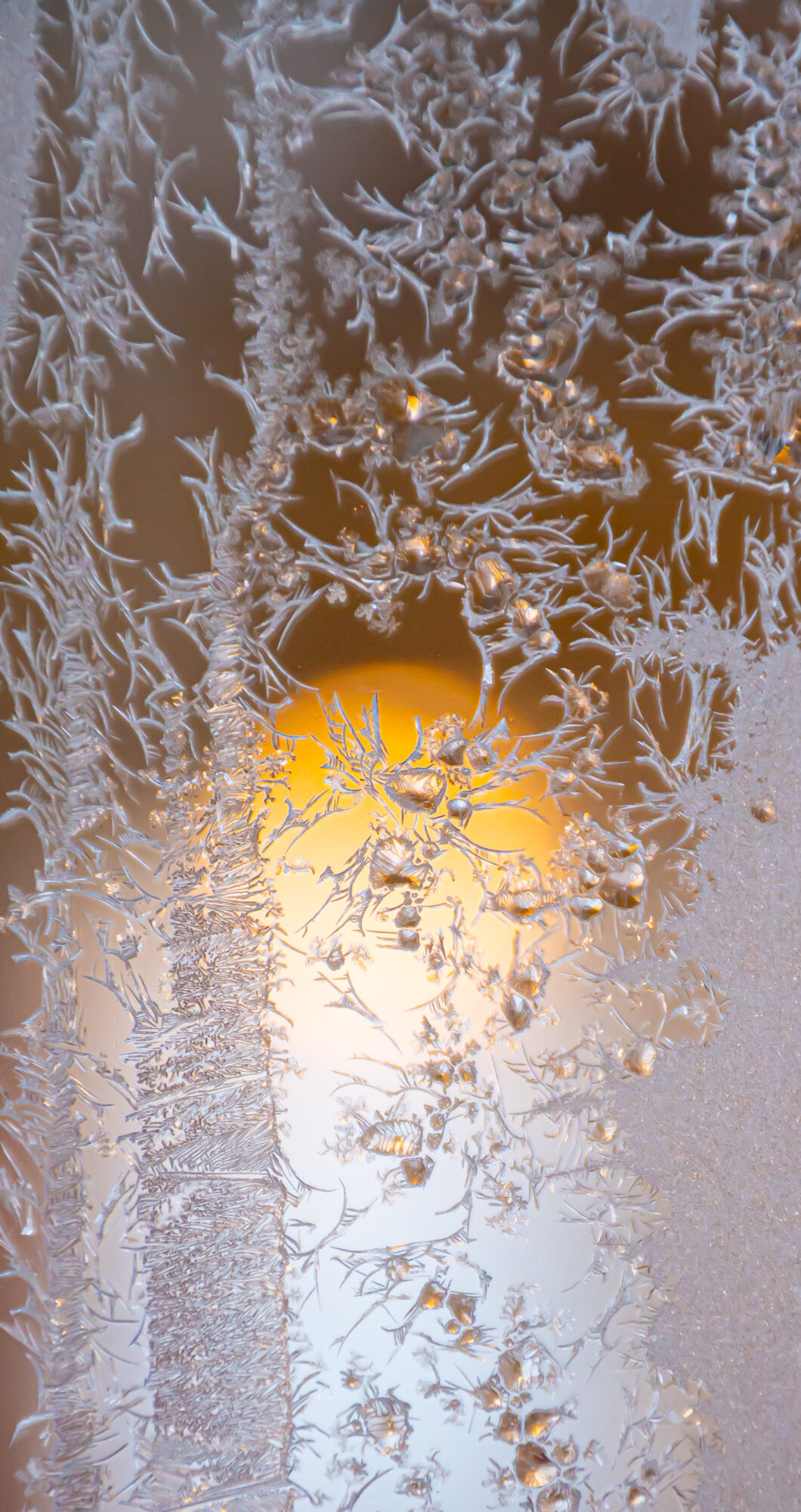 Valokuvaaja: Leena Rissanen