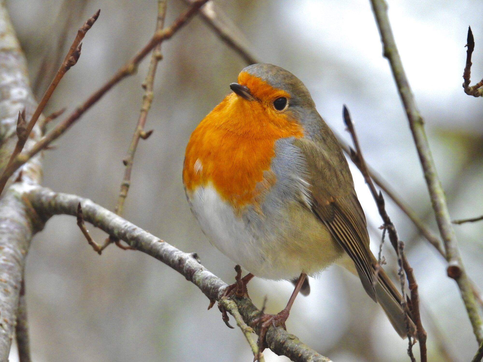 Valokuvaaja: Juhani Peltonen