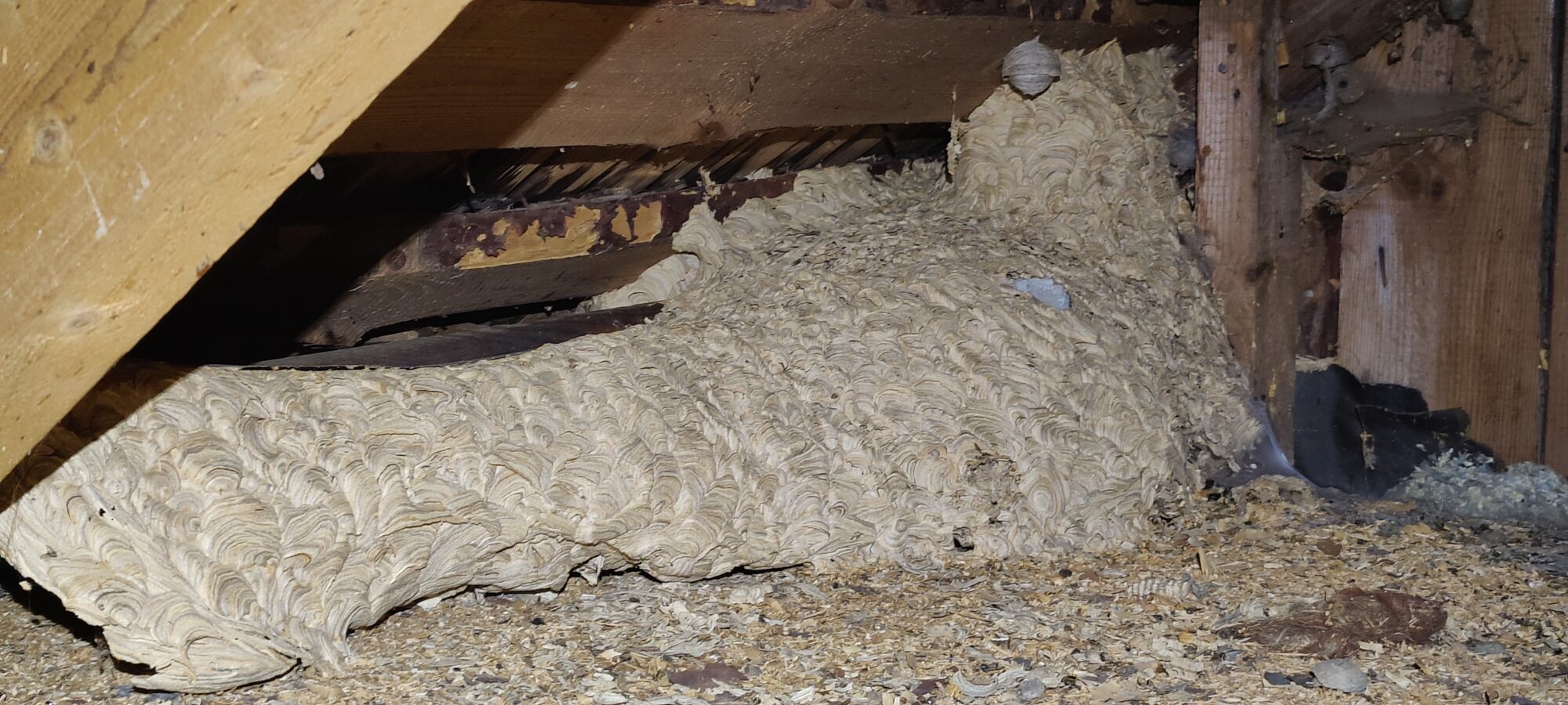 Valokuvaaja: Tino Kokko