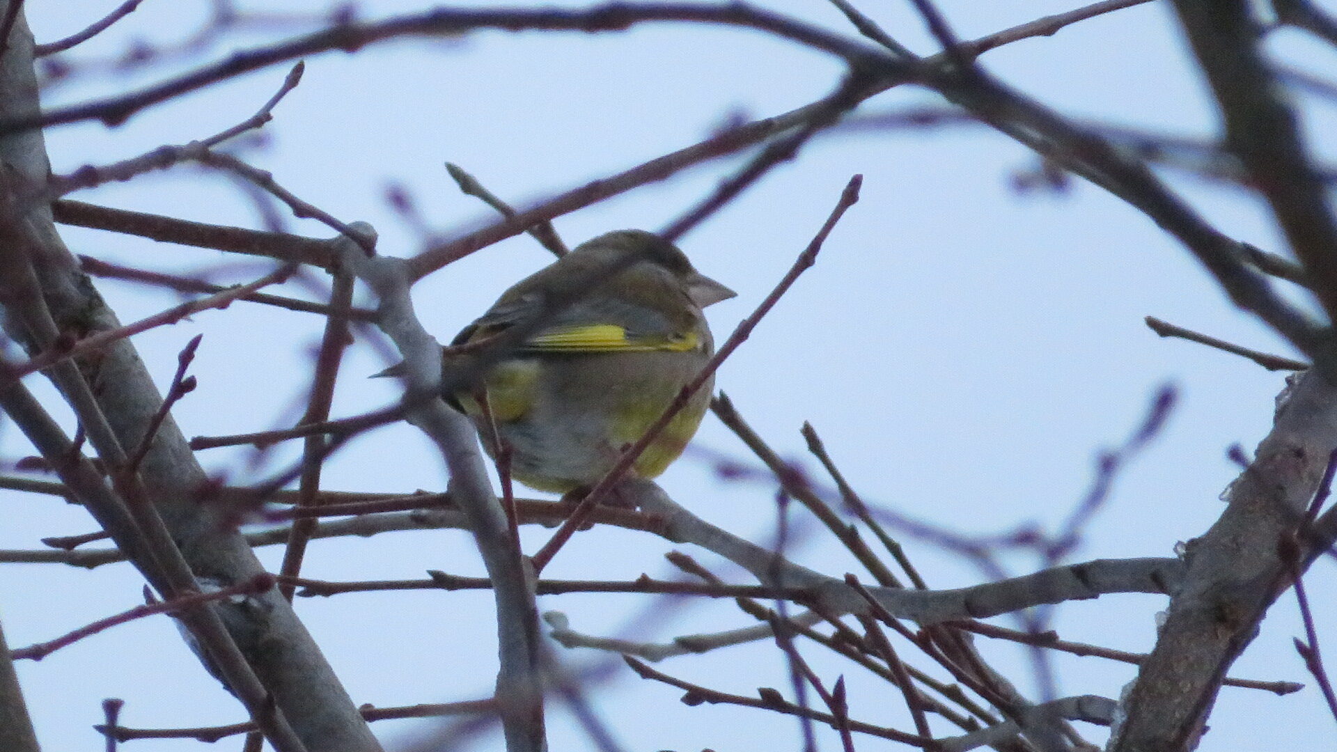 Valokuvaaja: Risto Kangassalo Valokuvaaja: Risto Kangassalo