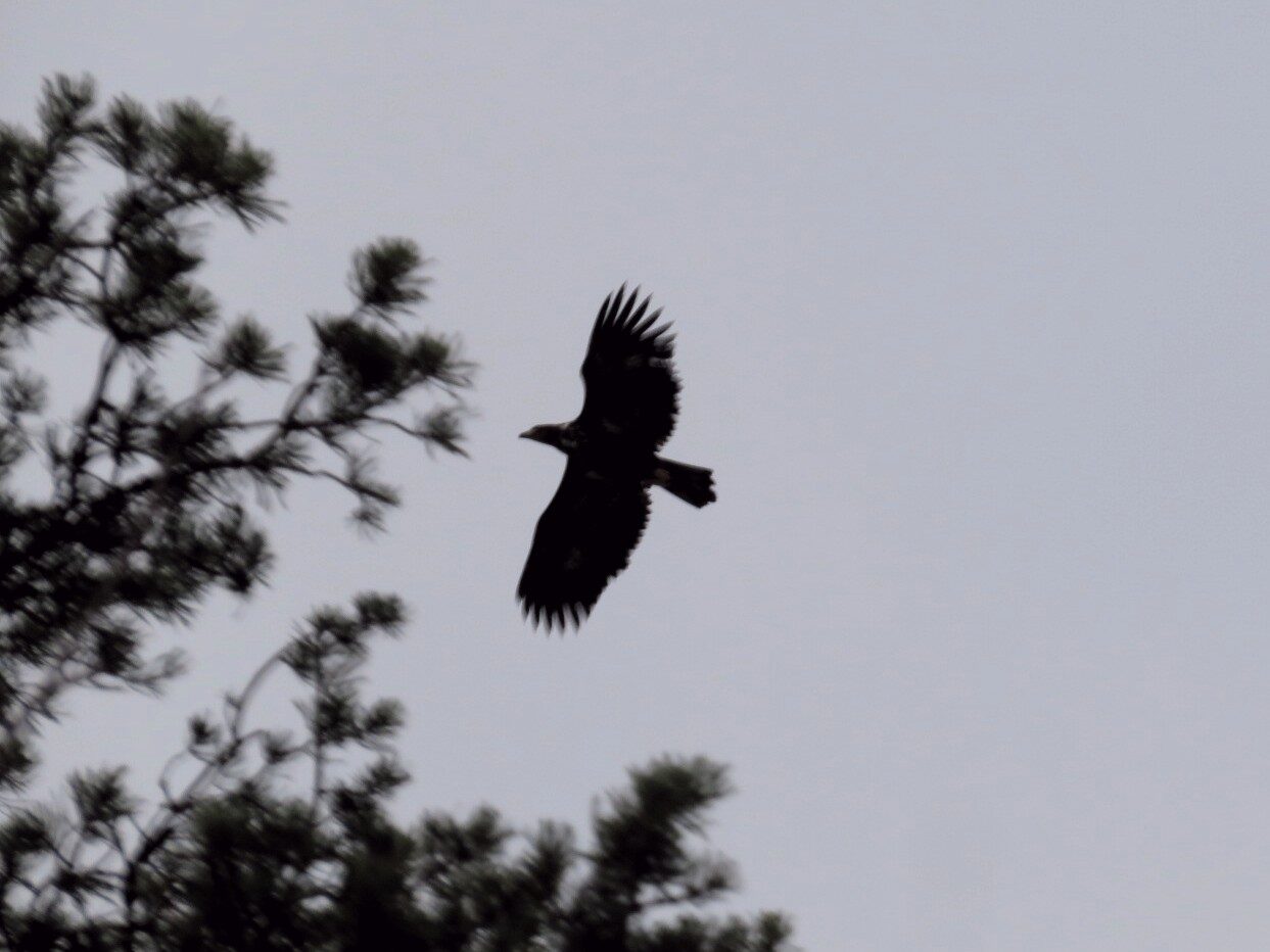 Valokuvaaja: Risto Kangassalo