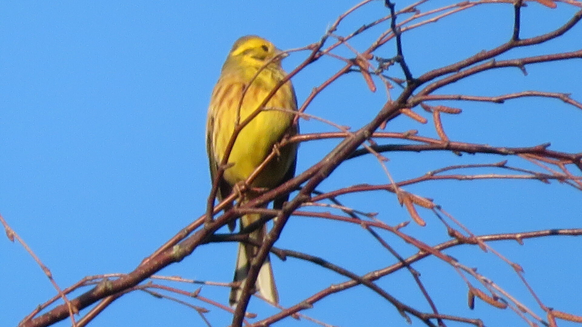 Valokuvaaja: Risto Kangassalo