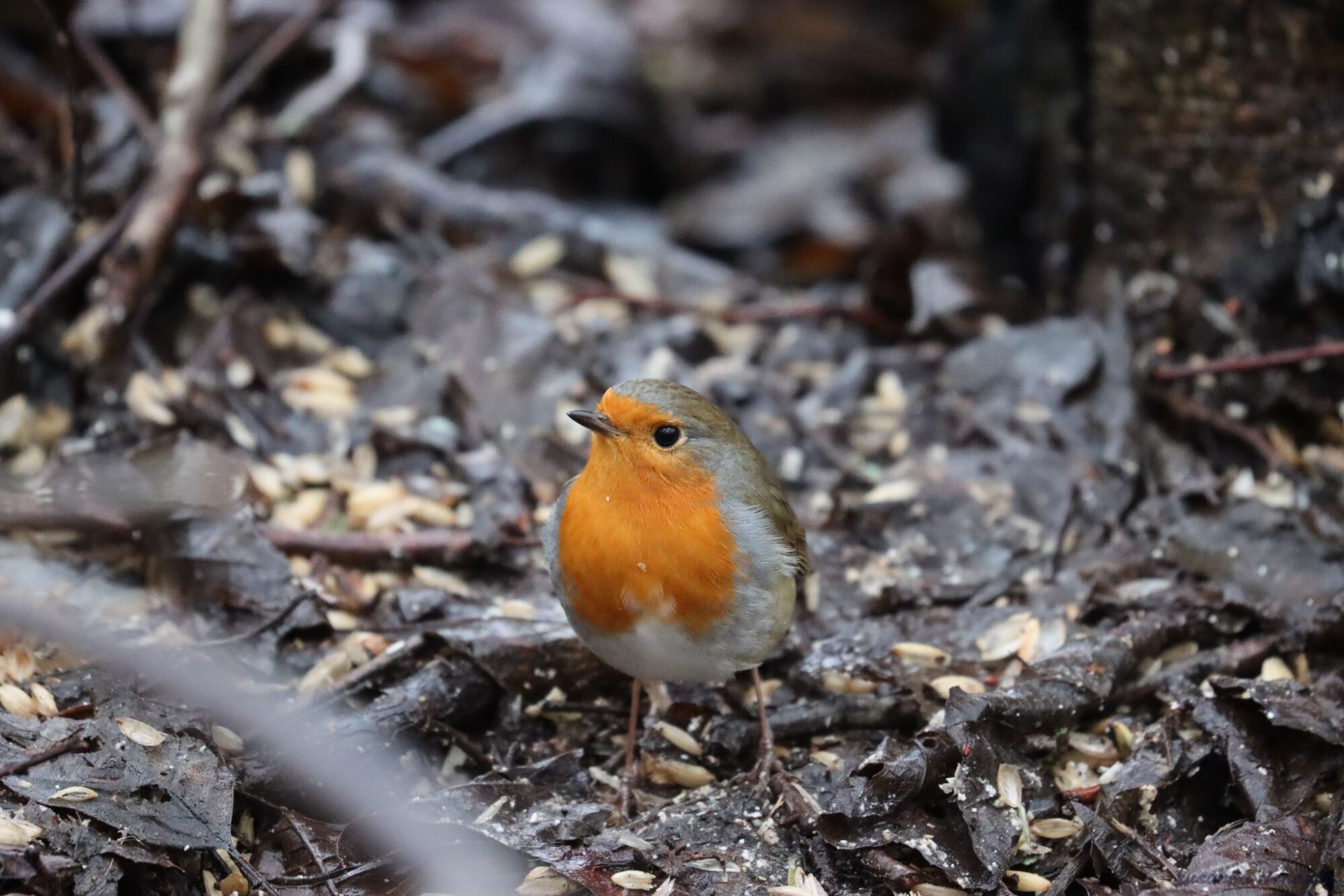 Valokuvaaja: Susanna Hannula