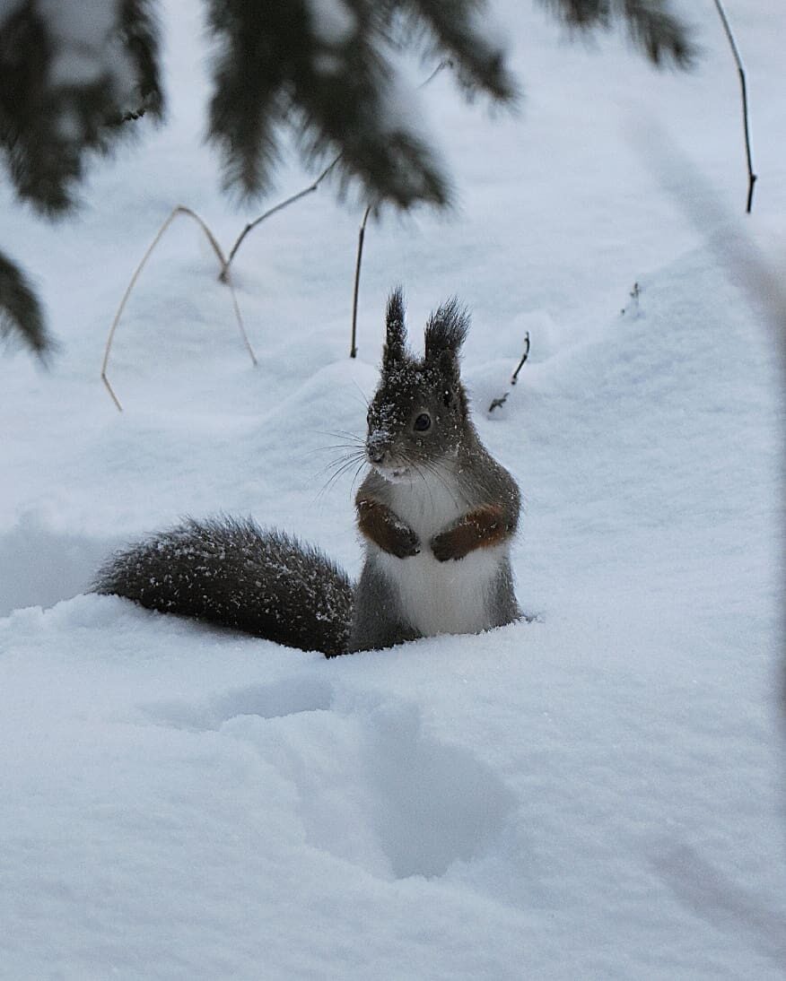 Valokuvaaja: Olli Inkinen